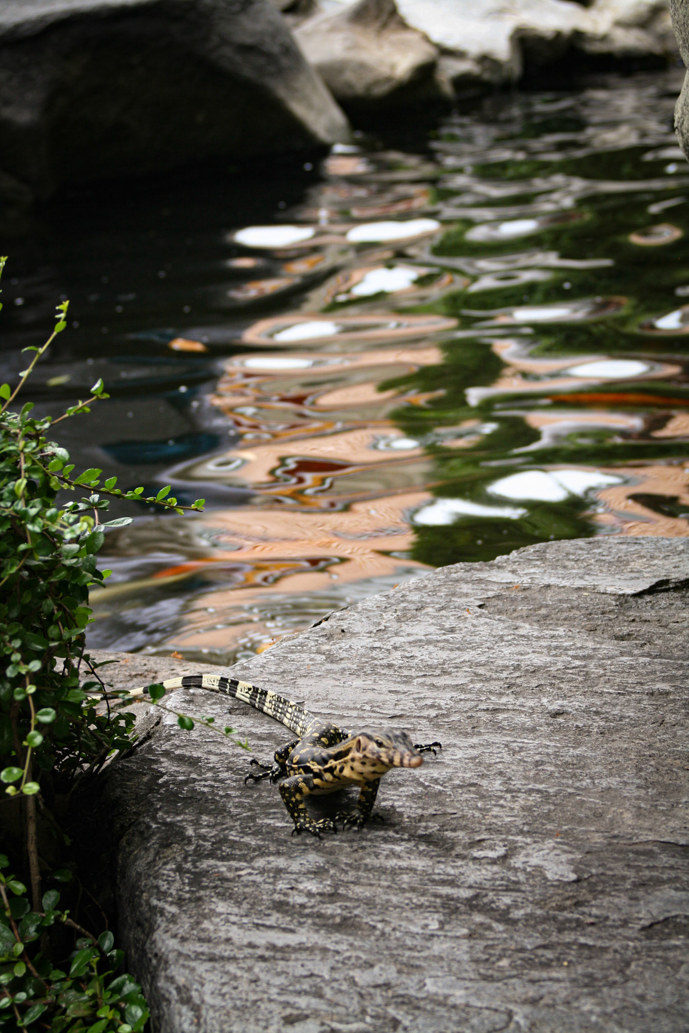 Grounds of Wat Pho