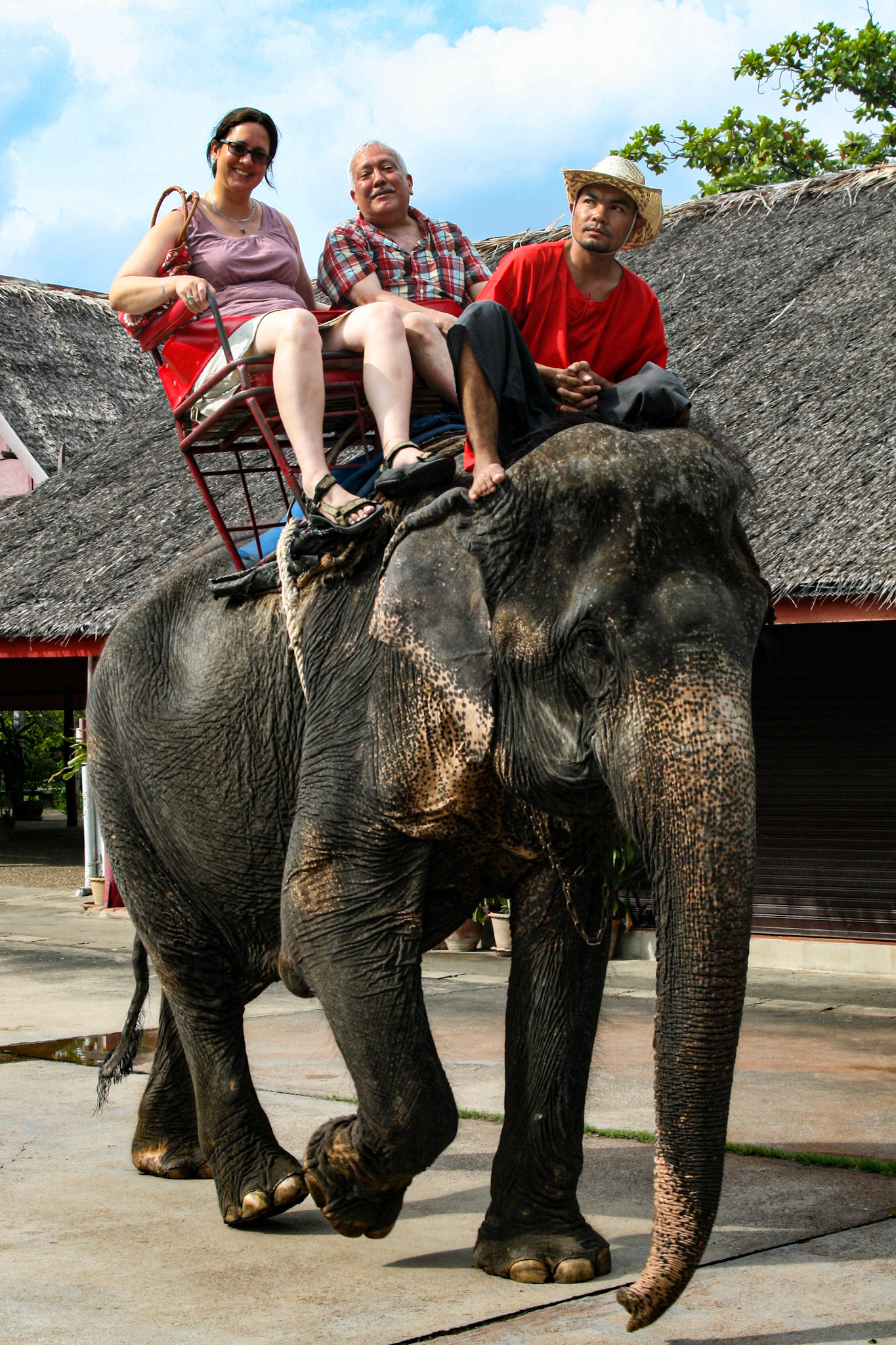 Riding the elephant with Linda Bathgate