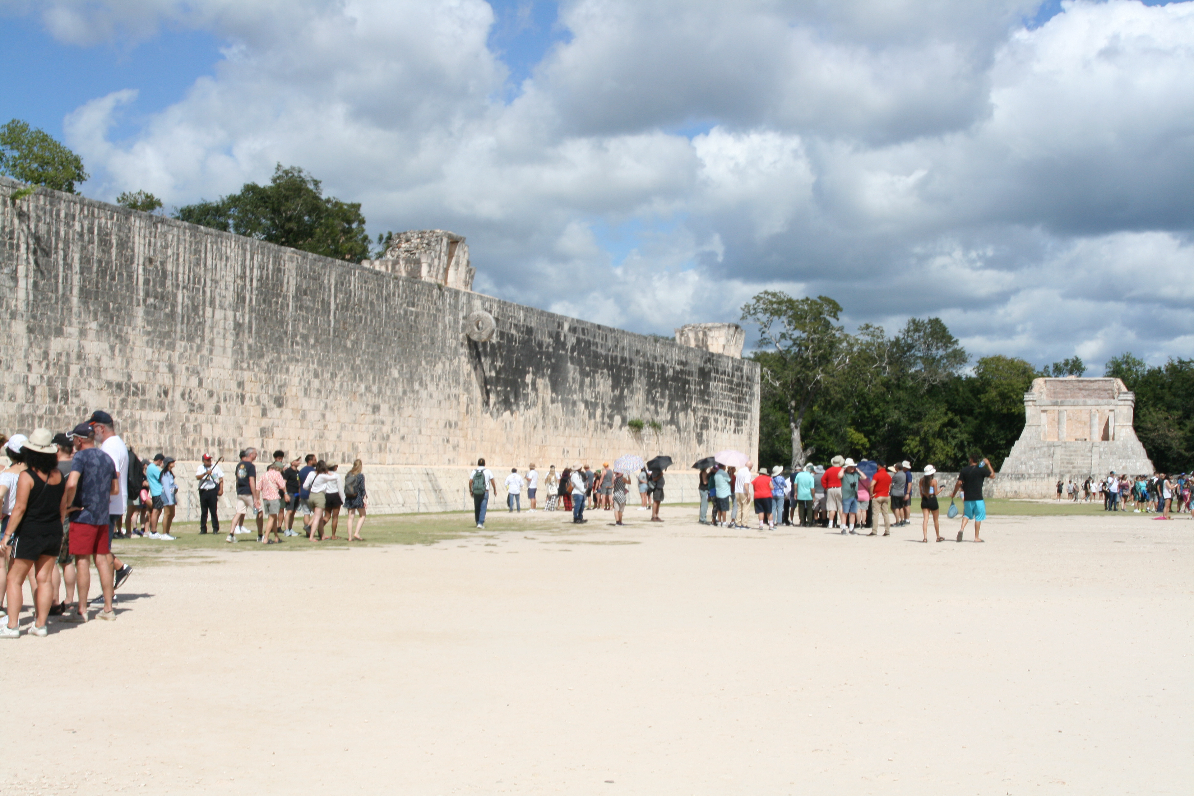 The "Playing Field" (L)