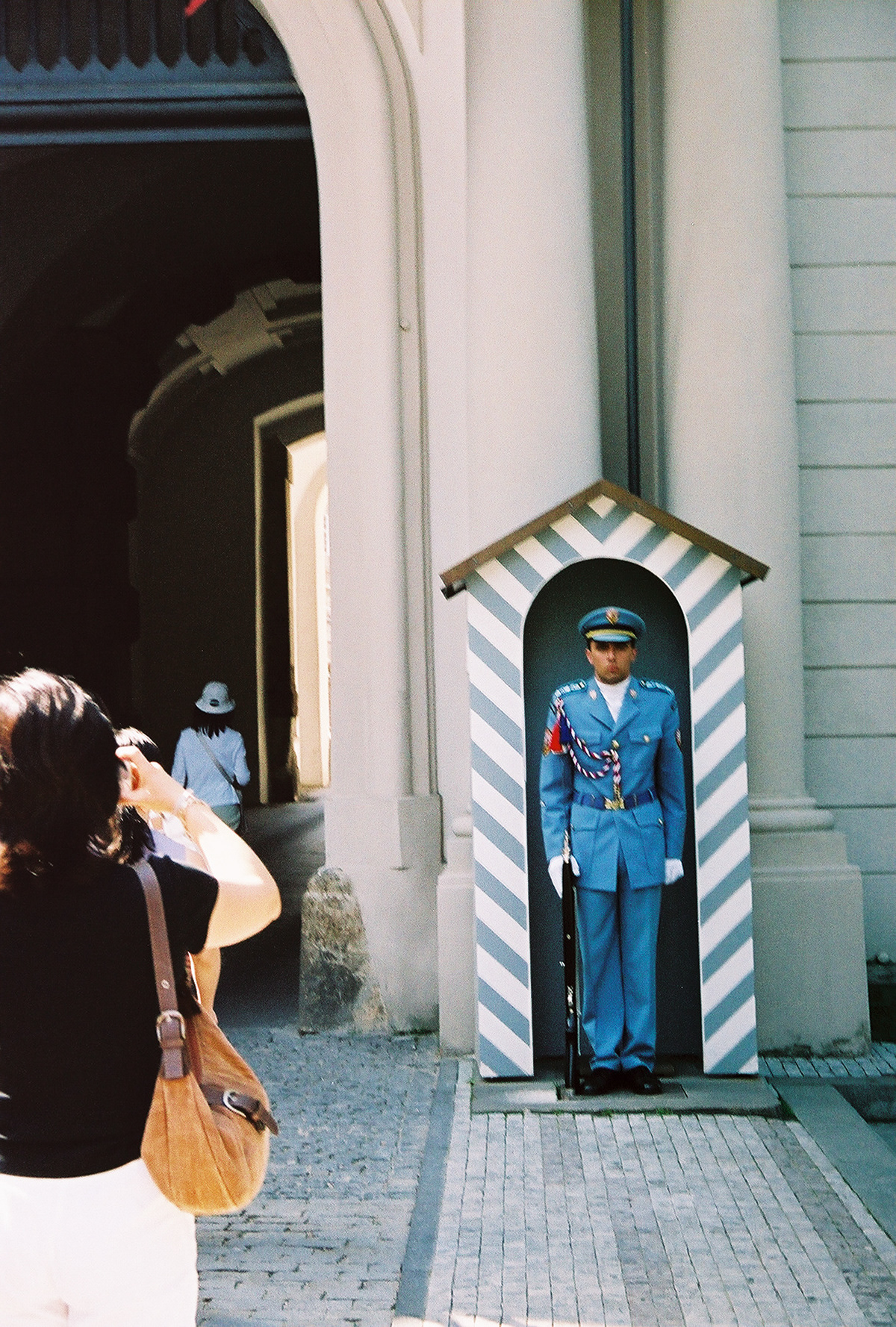 Castle Guard is directly subordinate to the Military Office of the President of the Republic.