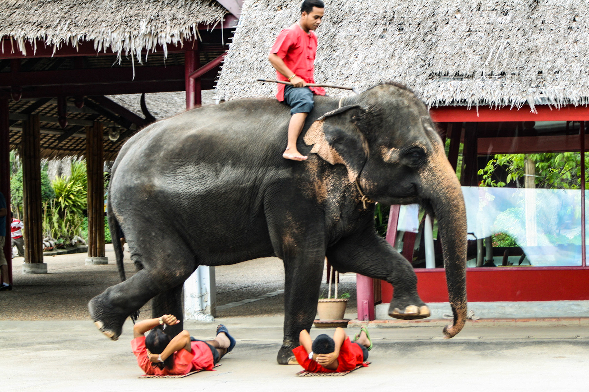 Thai Cultural Show at Rose Garden Sampran, Bangkok 