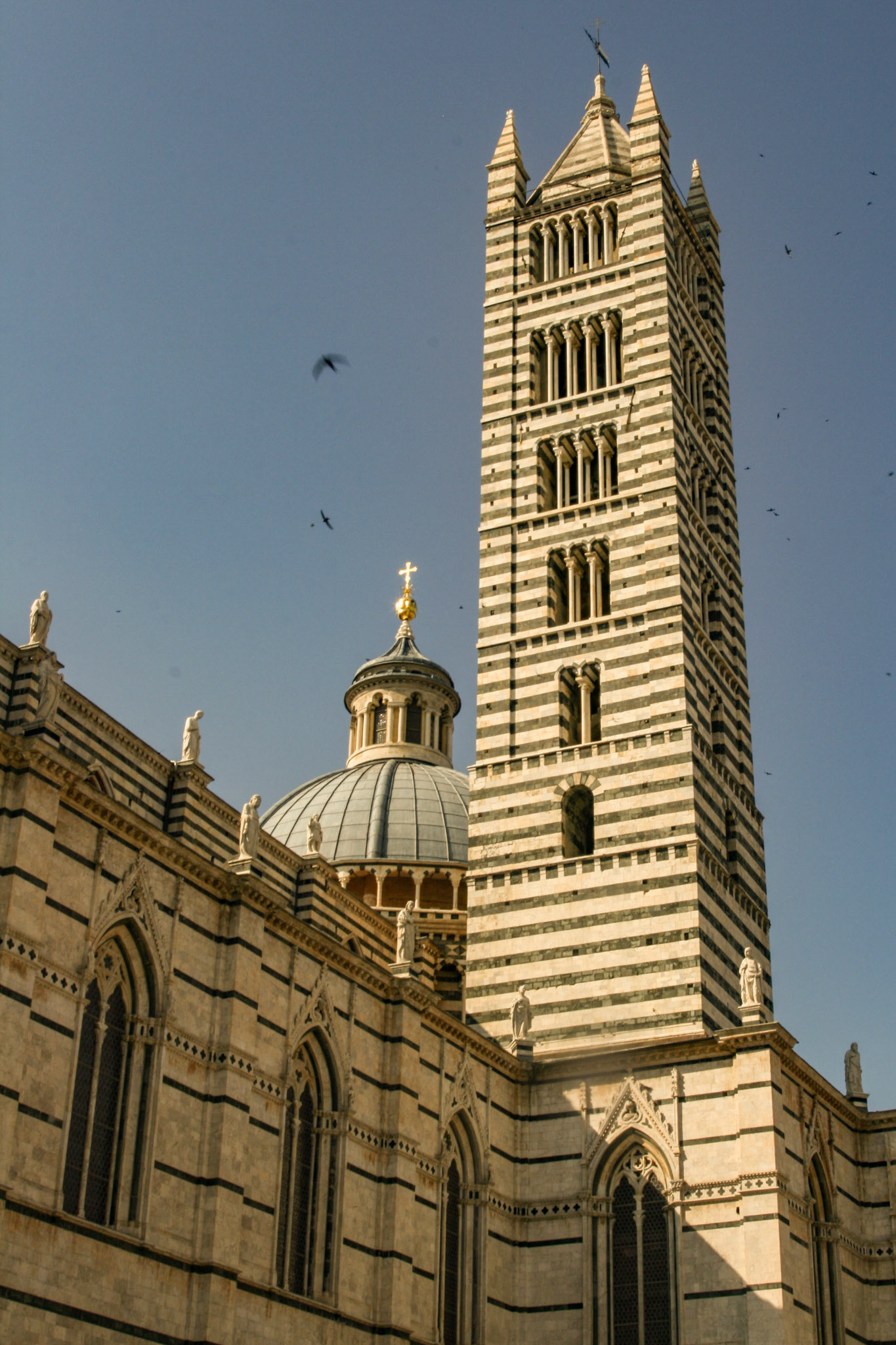 The Duomo's unique black-and-white striped campanile dates from 1313 but reflects the Romanesque style. The tall, square bell tower has increasing numbers of round-headed arcades with each level and culminates in a pyramid-shaped roof. 