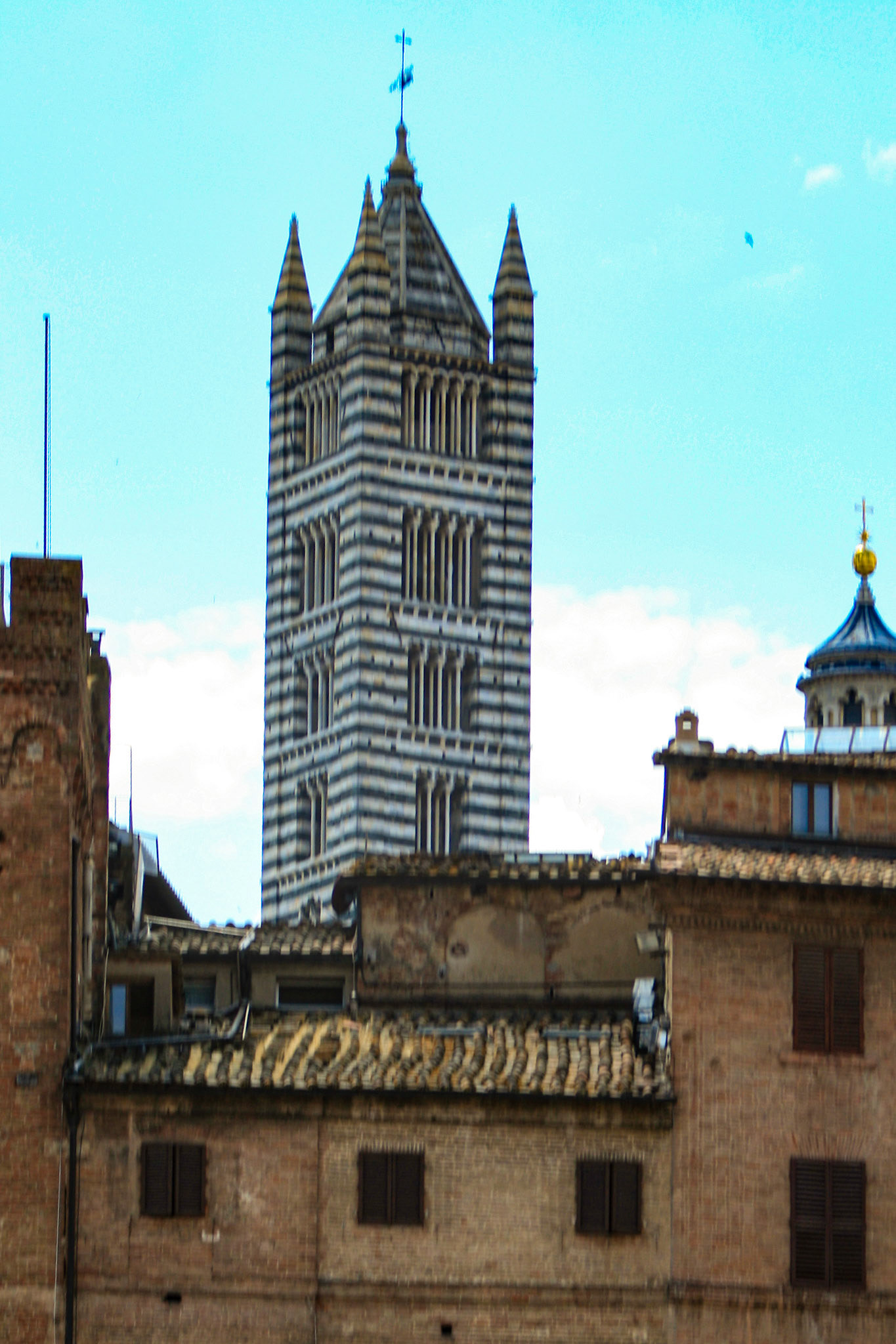 Background - Bell Tower of Siena Cathedral 