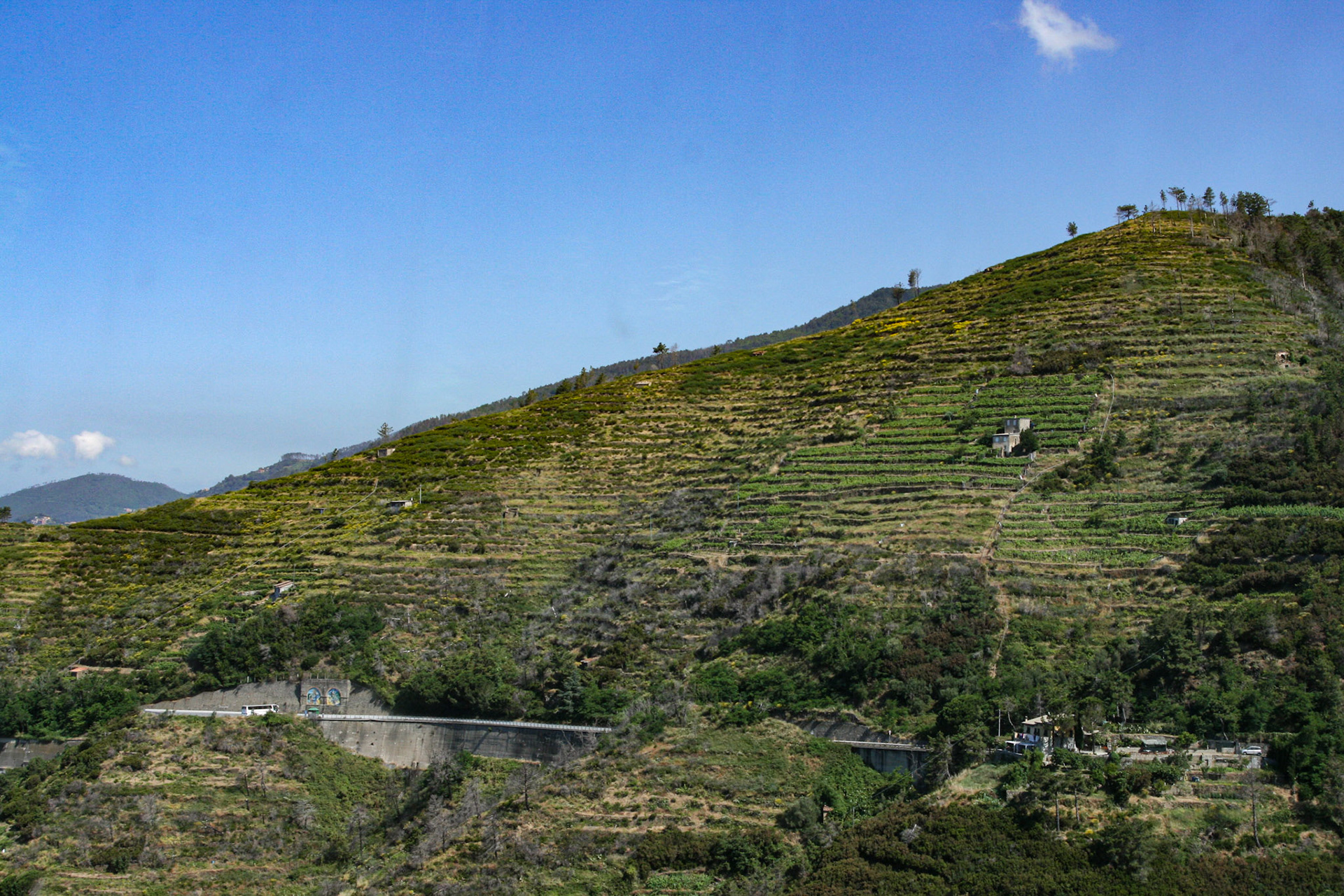 The extensive network of walking trails connecting the five villages of Cinque Terre (Five lands) pass through olive groves and terraced vineyards, with sweeping views of the vast expanse of the Mediterranean below. 
