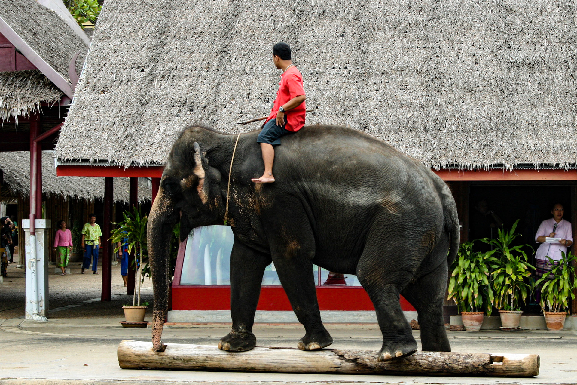 Thai Cultural Show at Rose Garden Sampran, Bangkok 