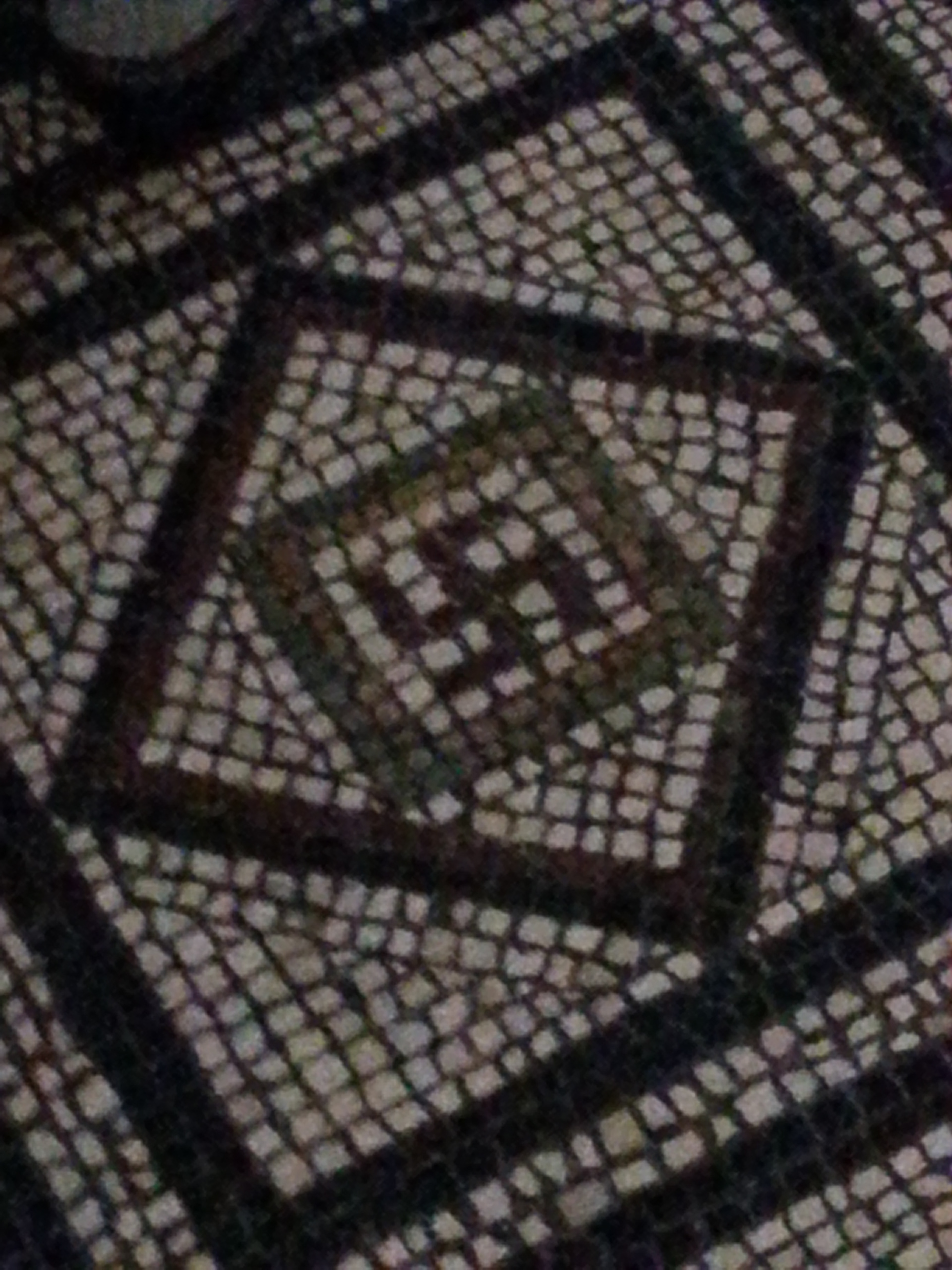 Mosaic floor tile detail.