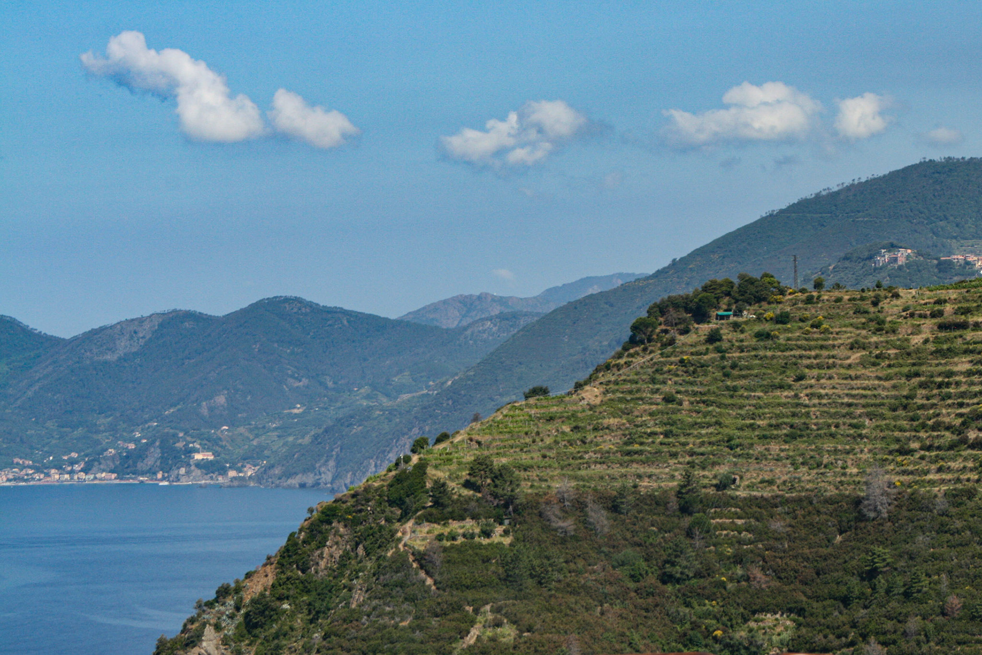 The extensive network of walking trails connecting the five villages of Cinque Terre (Five lands) pass through olive groves and terraced vineyards, with sweeping views of the vast expanse of the Mediterranean below. 
