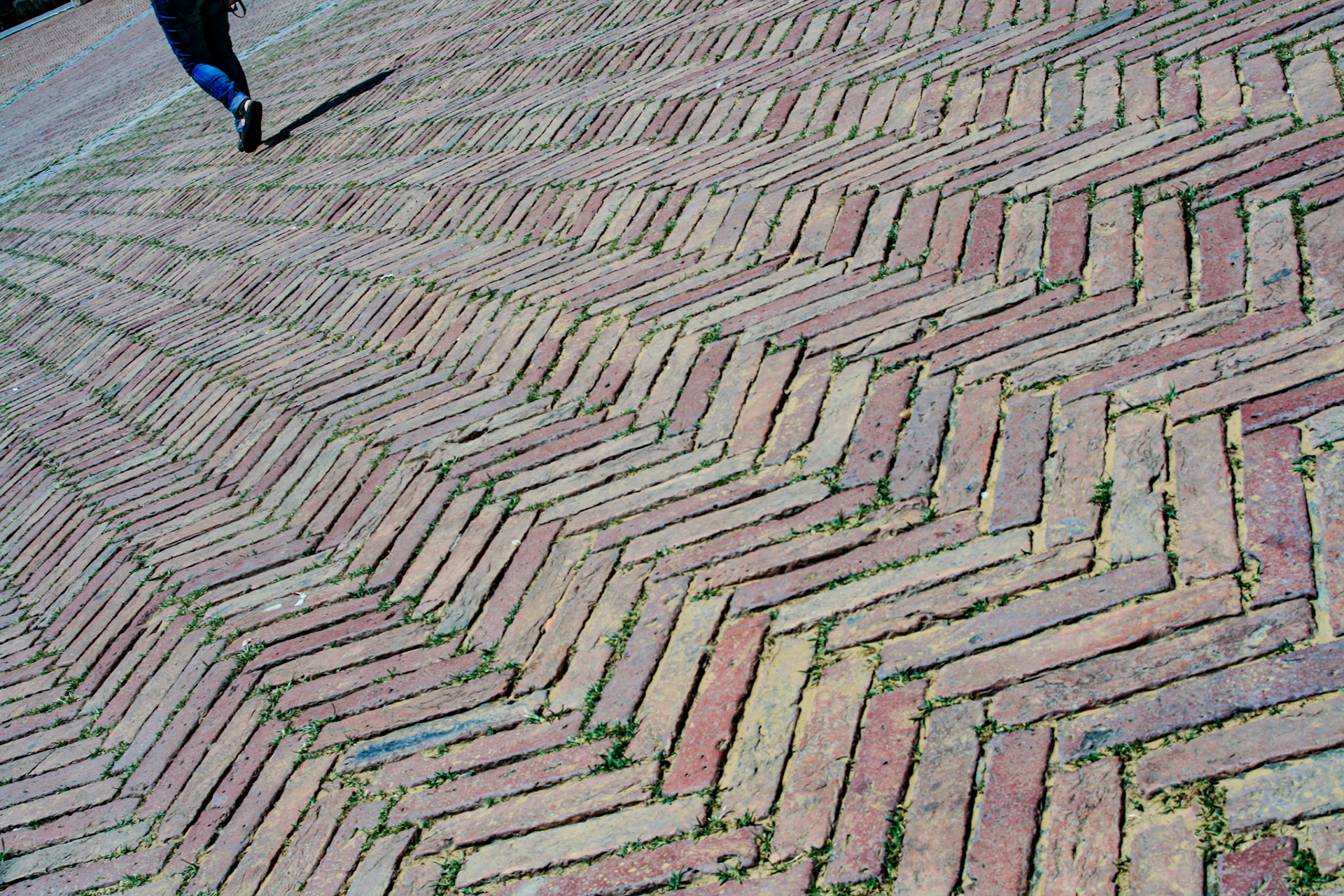 The Piazza del Campo was paved in 1349 in fishbone-patterned red brick with 8 lines of travertine, which divide the piazza into 9 sections, radiating from the mouth of the gavinone (the central water drain) in front of the Palazzo Pubblico. 