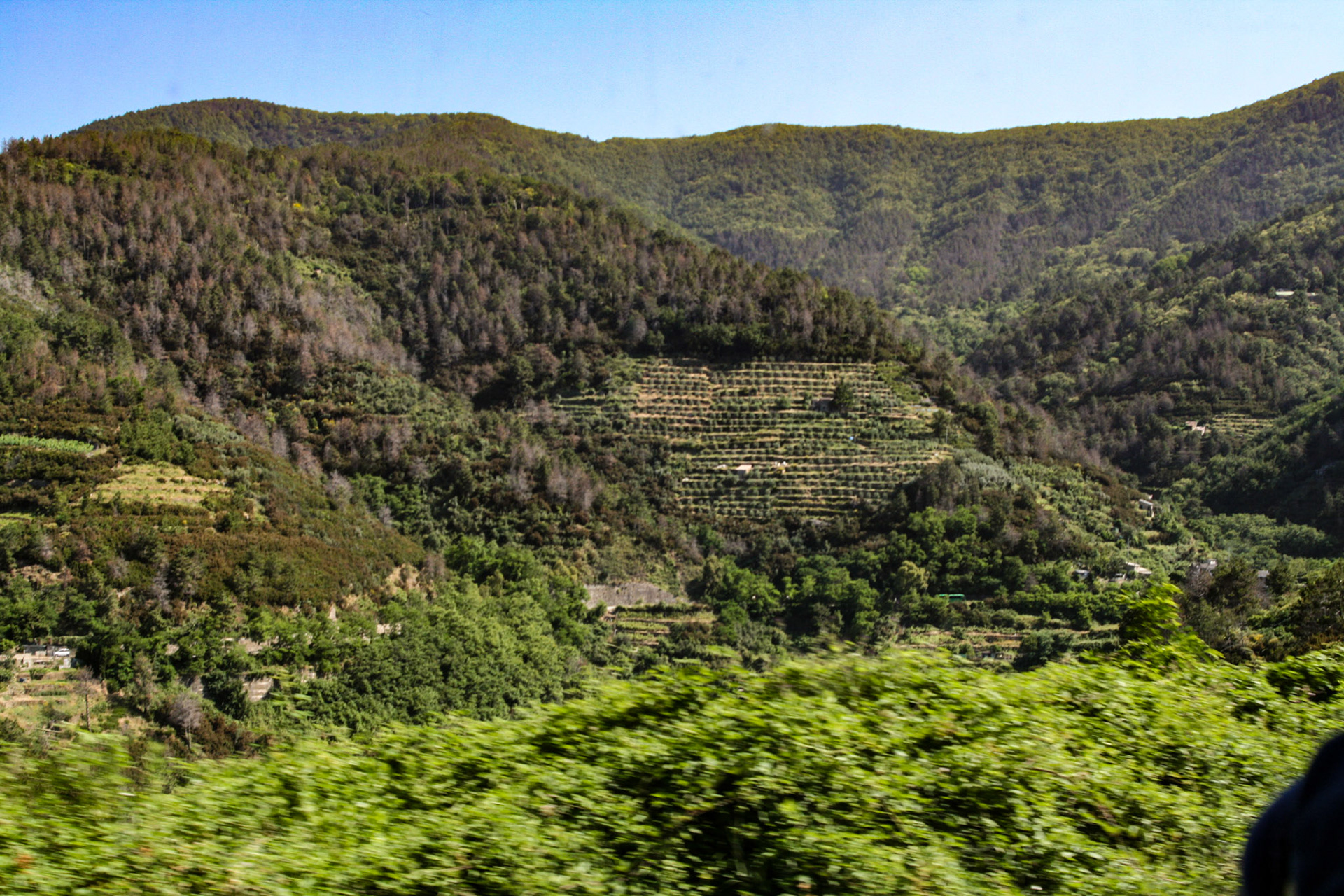 The extensive network of walking trails connecting the five villages of Cinque Terre (Five lands) pass through olive groves and terraced vineyards, with sweeping views of the vast expanse of the Mediterranean below. 