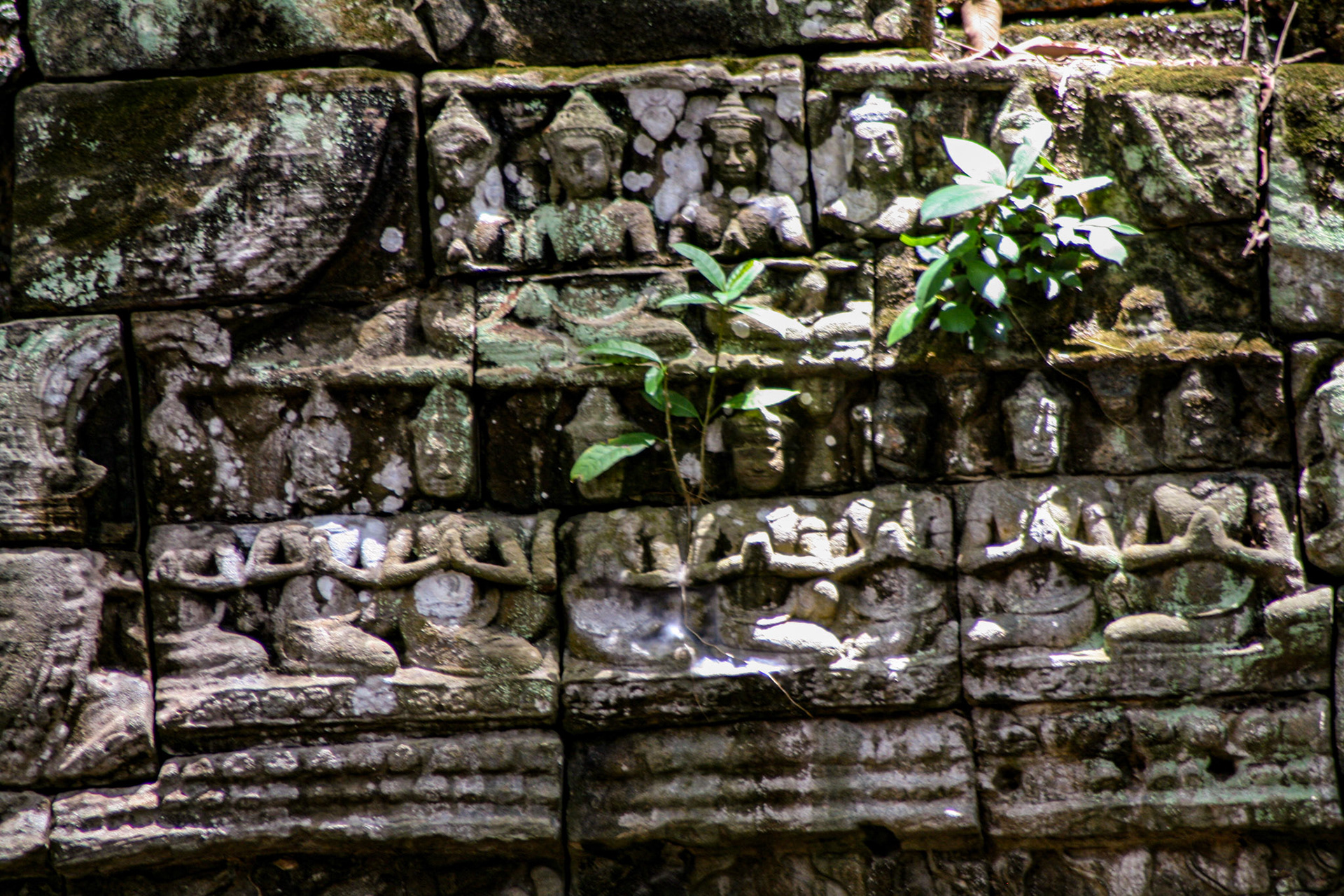 Ta Prohm does not have as many narrative bas-reliefs as Angkor Wat or Angkor Thom, but some depictions of scenes from Buddhist mythology do remain. The temple also features stone reliefs of devatas (minor female deities), meditating monks or ascetics, and dvarapalas or temple guardians. 