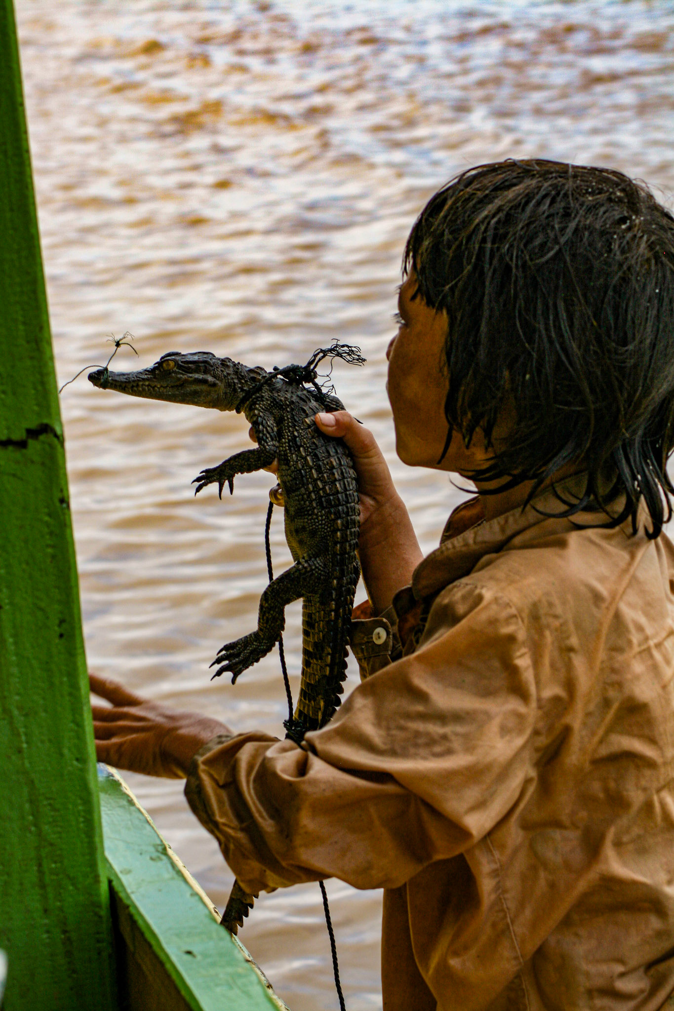 The locals have sometimes taken to bringing their young children up to the tourist boats to beg for coins. Some show off the biodiversity of the region—much to the chagrin of some tourists! 