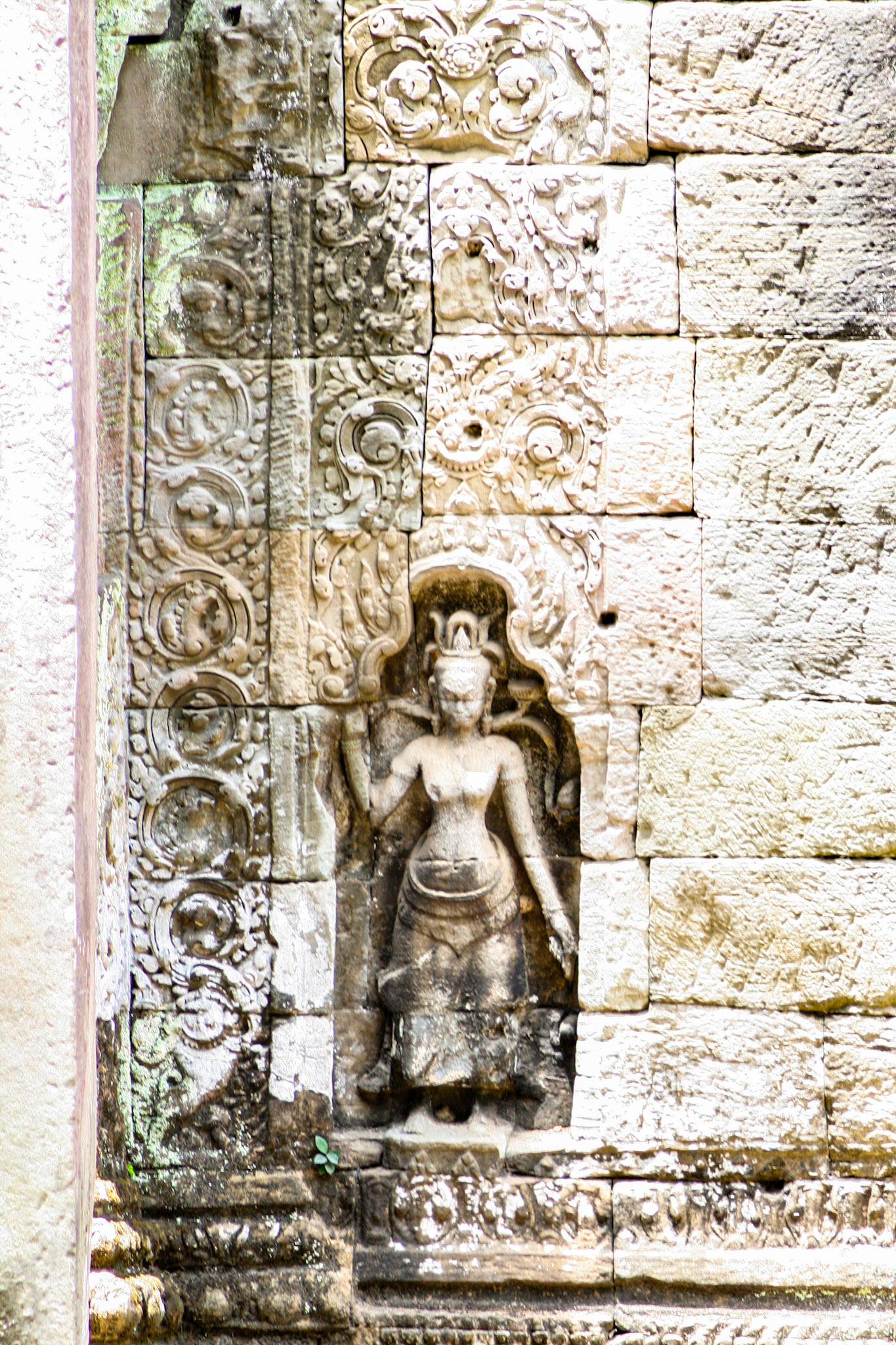 Ta Prohm does not have as many narrative bas-reliefs as Angkor Wat or Angkor Thom, but some depictions of scenes from Buddhist mythology do remain. The temple also features stone reliefs of devatas (minor female deities), meditating monks or ascetics, and dvarapalas or temple guardians. 