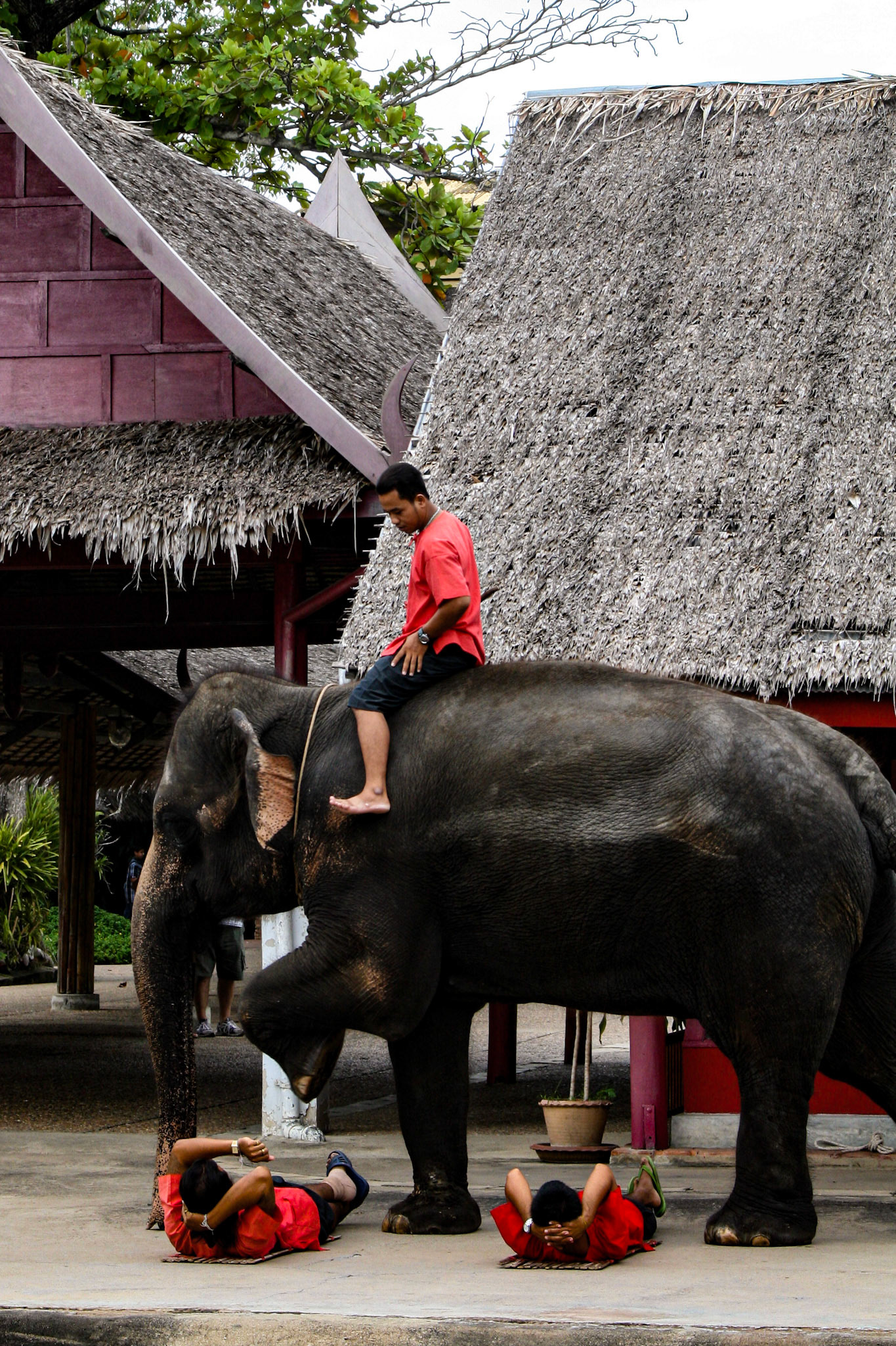 Thai Cultural Show at Rose Garden Sampran, Bangkok 