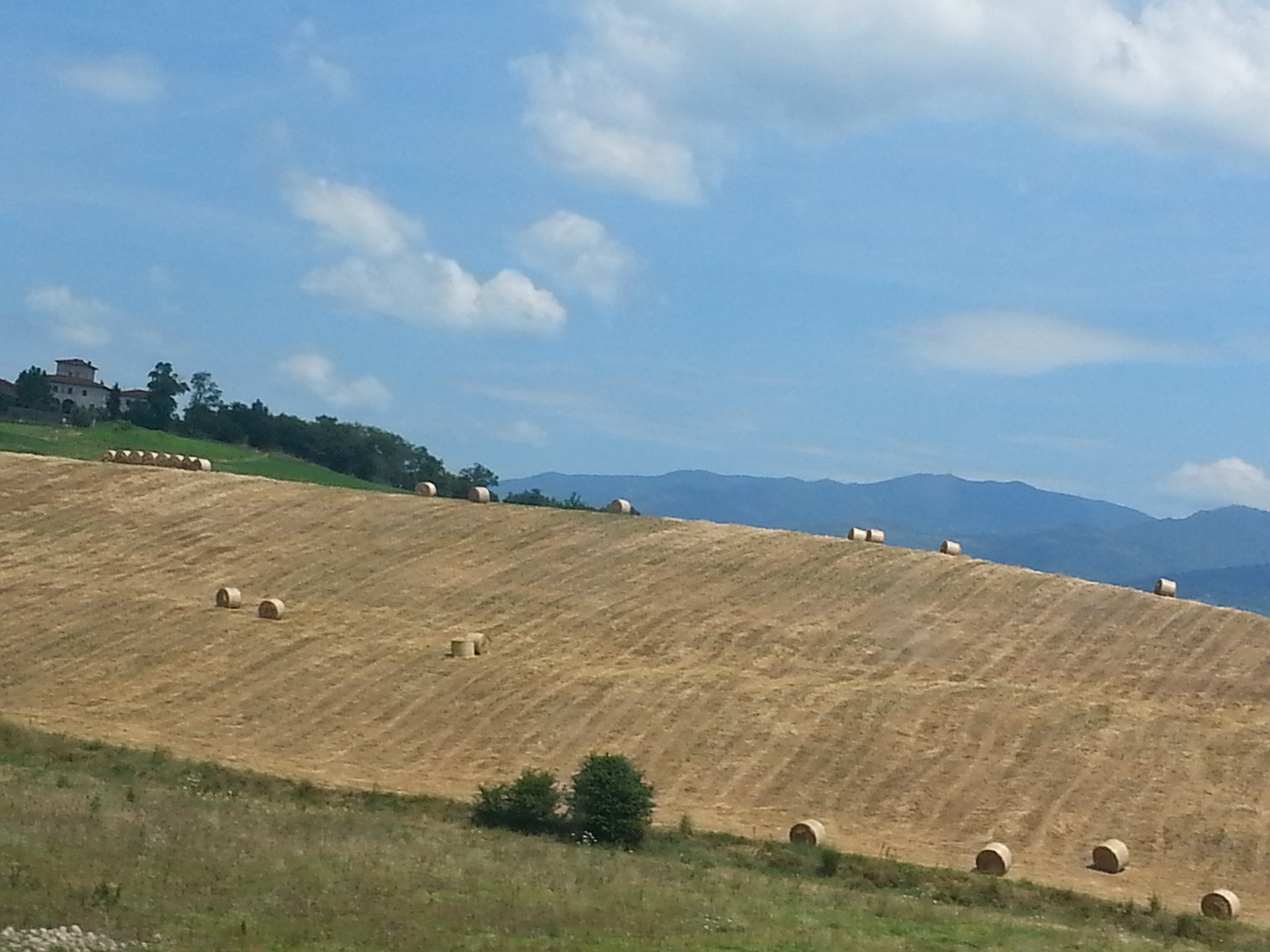 Rolling into Rome via TrenItalia.