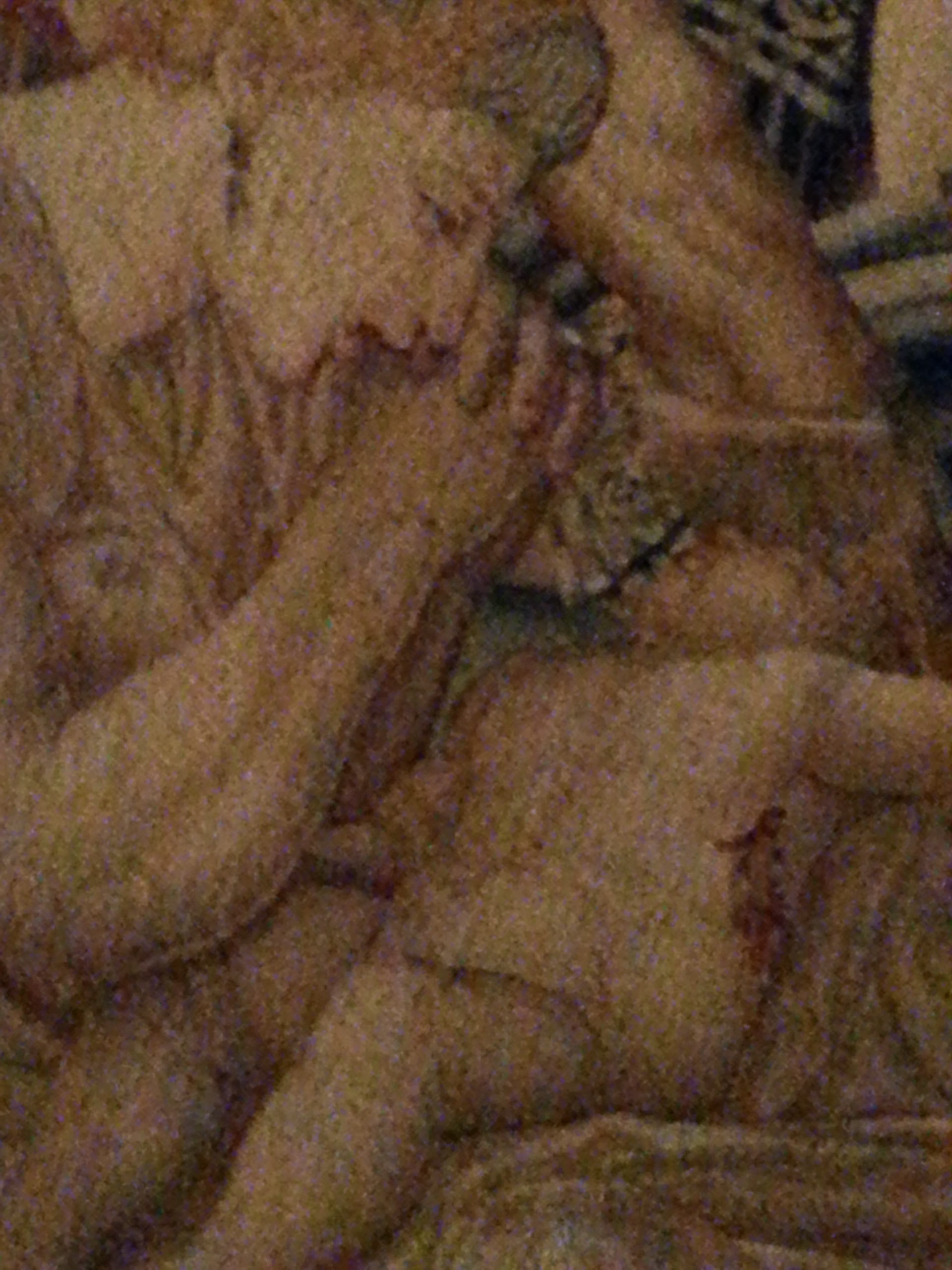 "Massacre of the Innocents" detail.