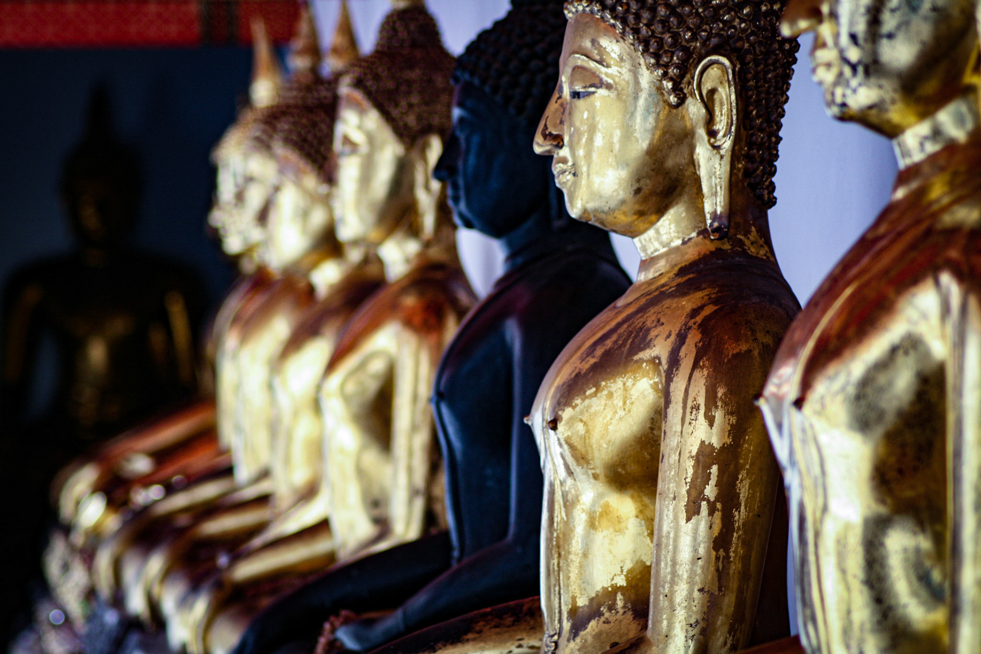 Row of Buddha statues lined up at Wat Pho in Bangkok, Thailand.