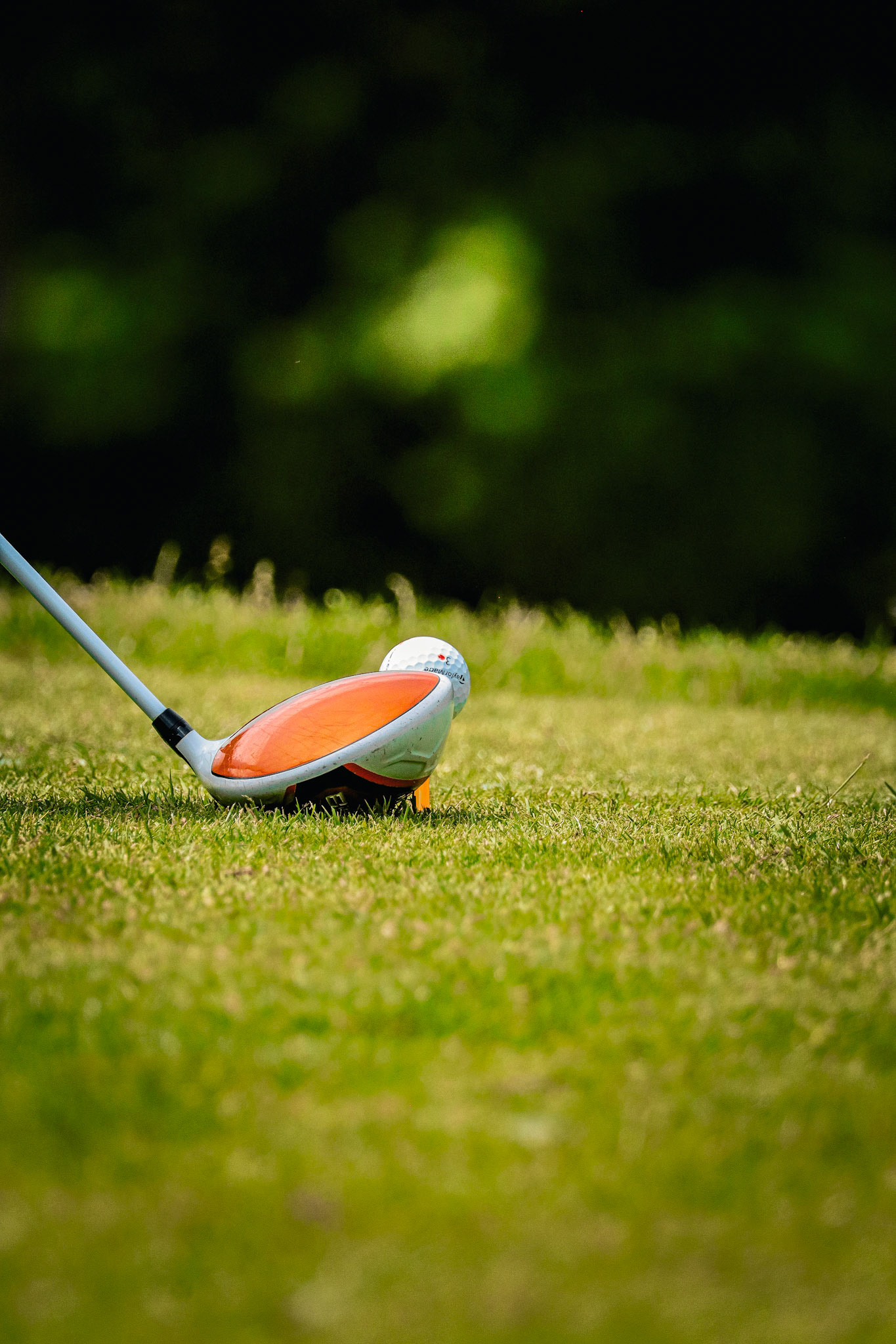 Championnat du Club Golf de Maison Blanche