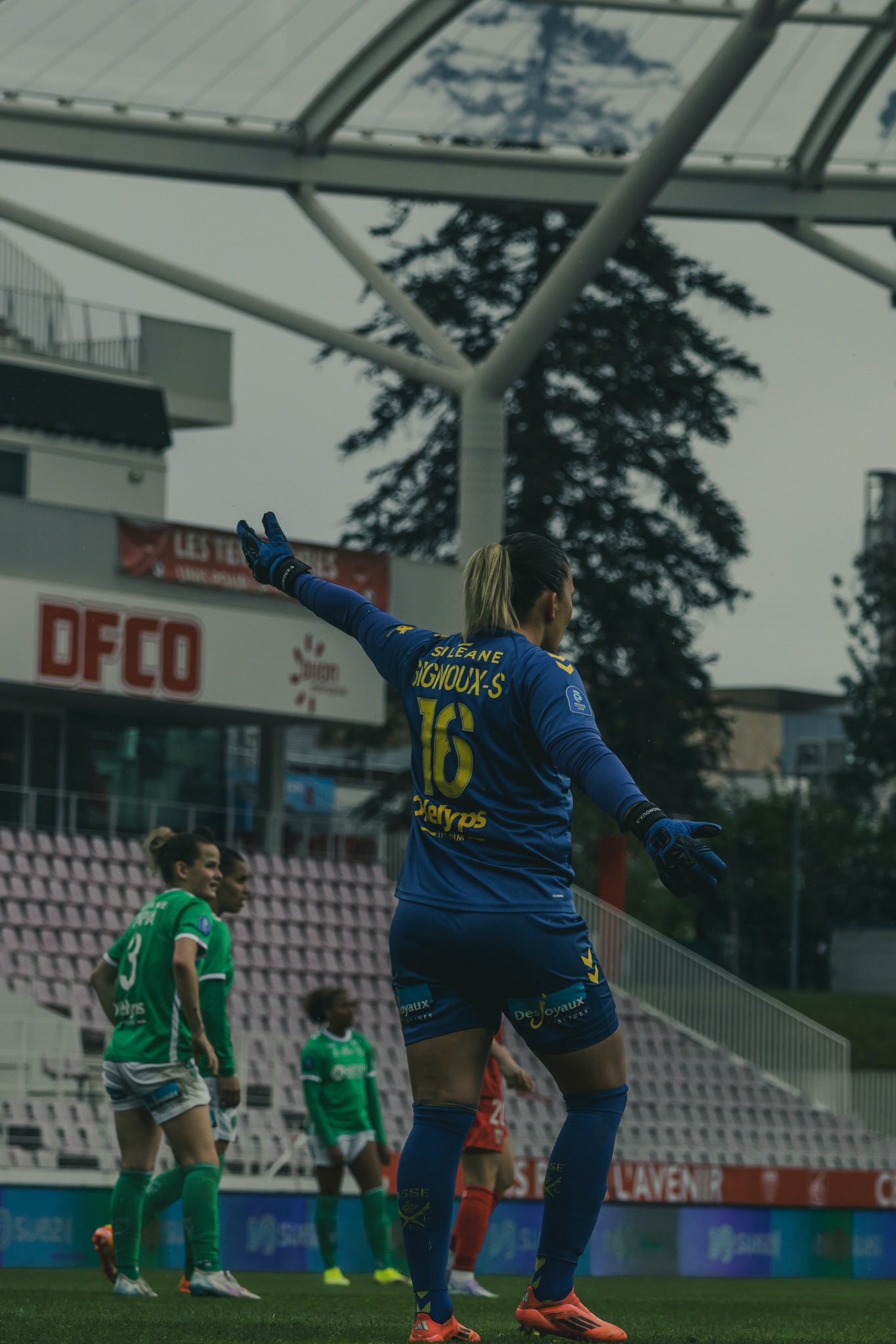 DFCO - ASSE   D1 Arkema