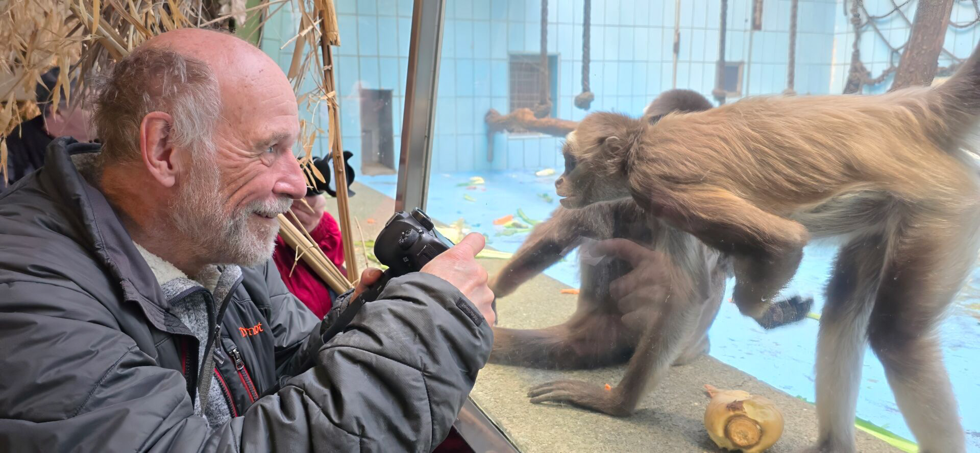 Ralph Lear teilt seine Fotos mit den Affen im Zoo Frankfurt.