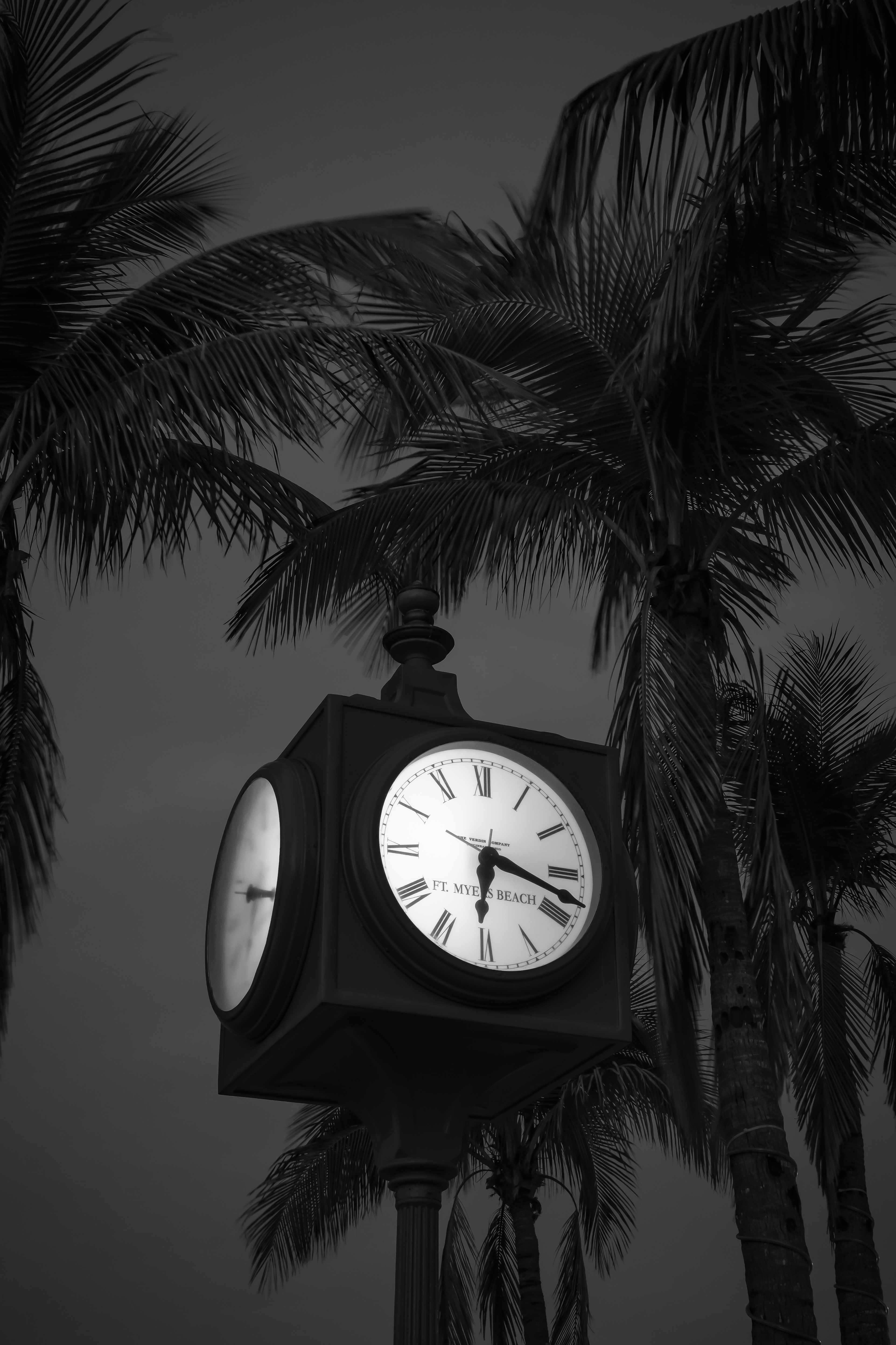 Dozing Palms