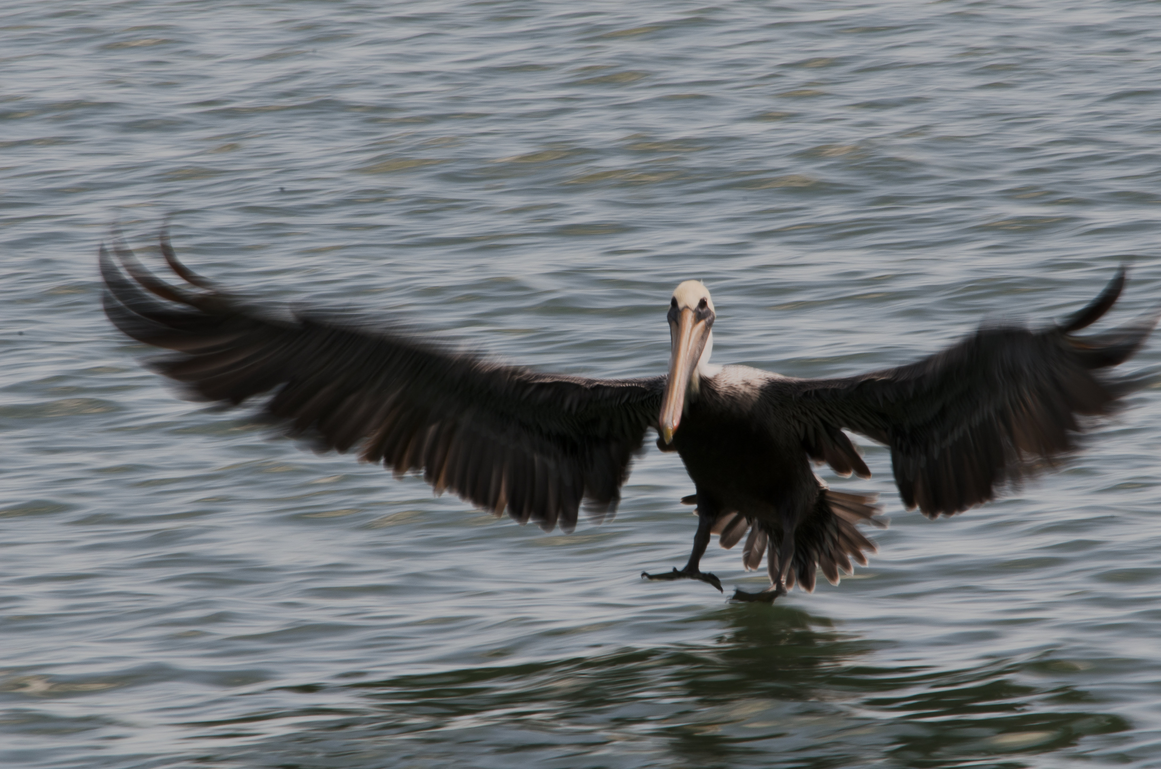 Rough Landing