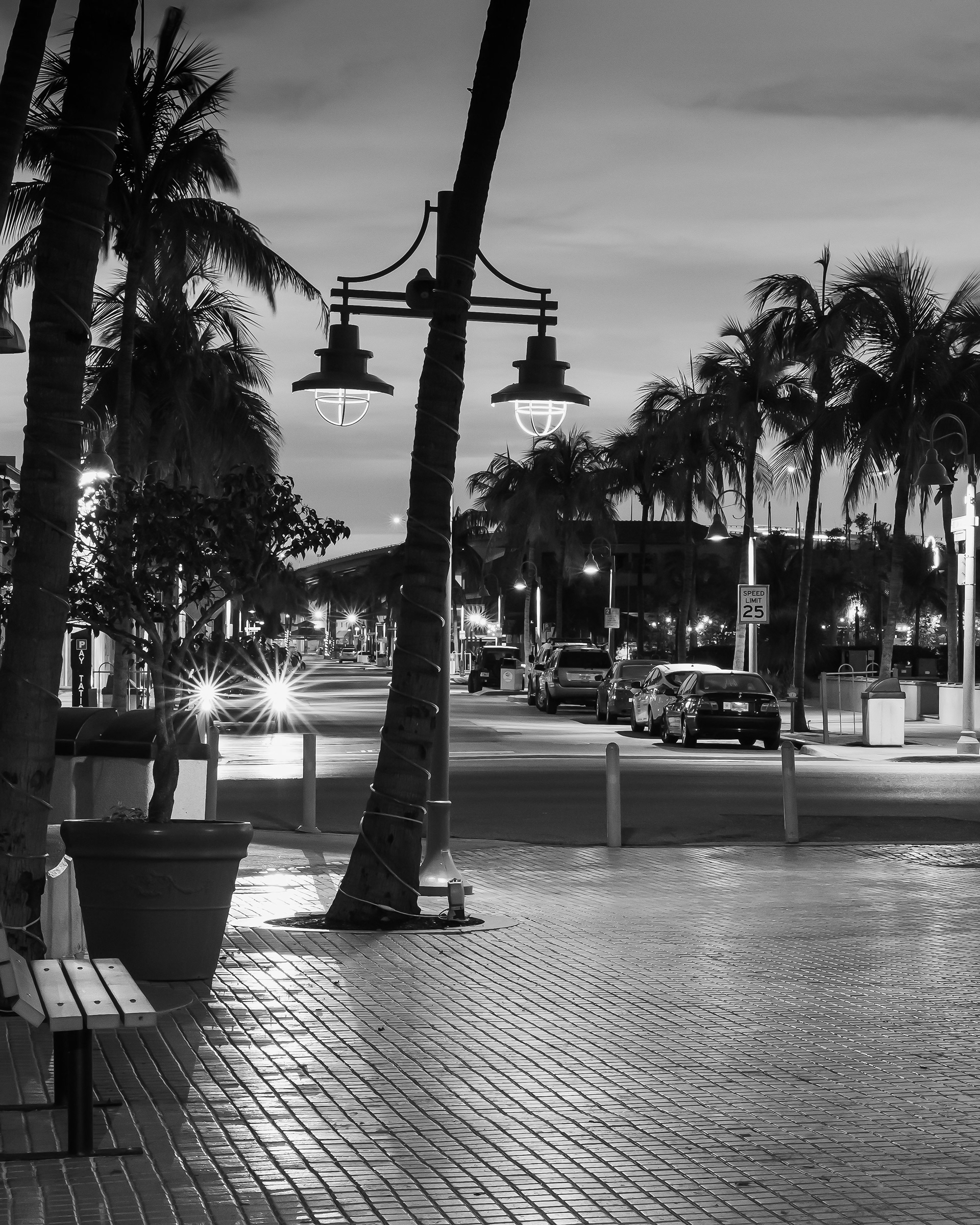 San Carlos Lights