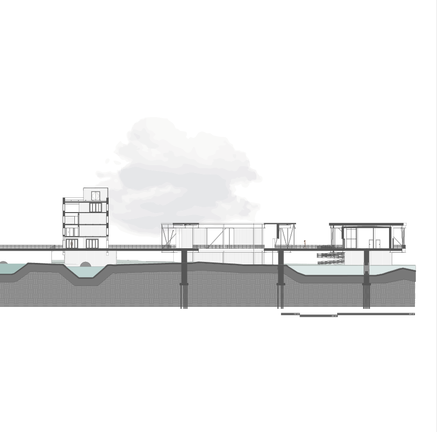 longitudinal section