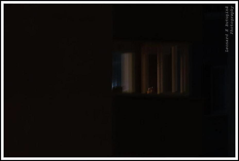2026 April 116