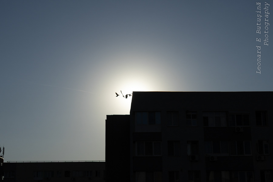 2026 April 108