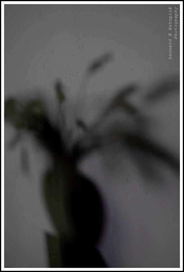 2026 April 127