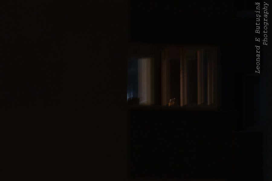 2026 April 114
