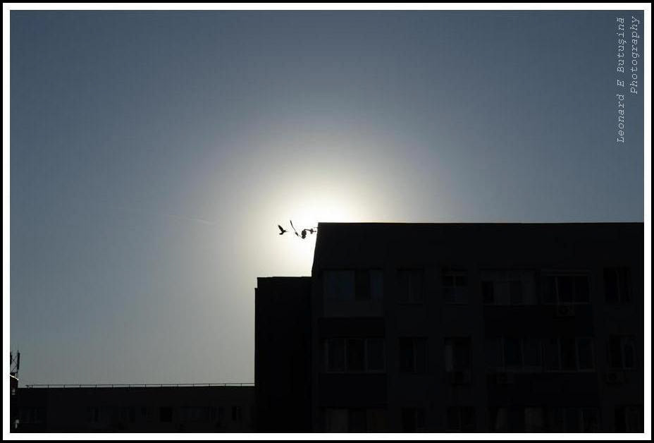 2026 April 109