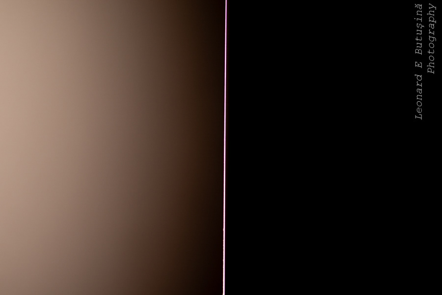 2026 February 49