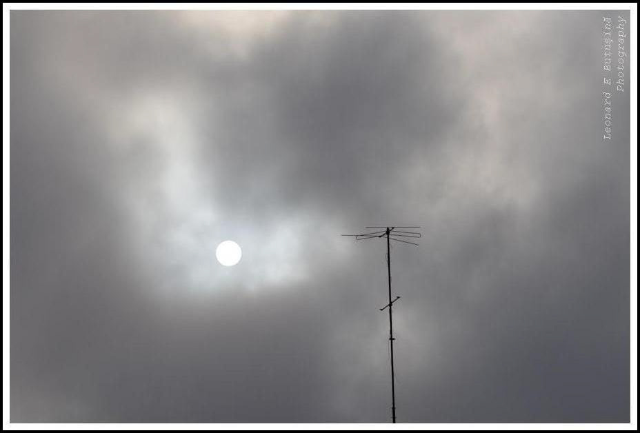 2026 February 48