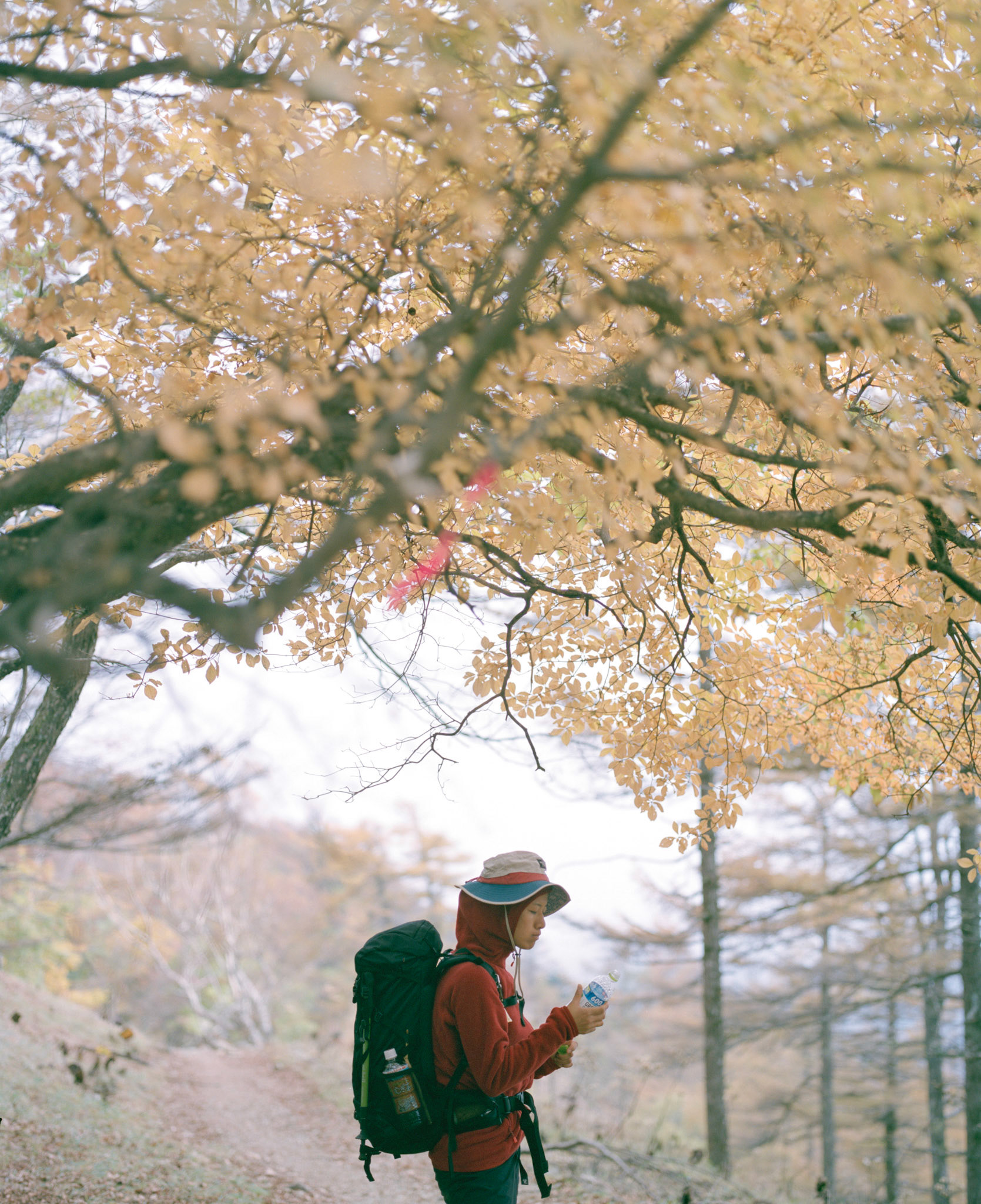 A trecker with autumn leaves