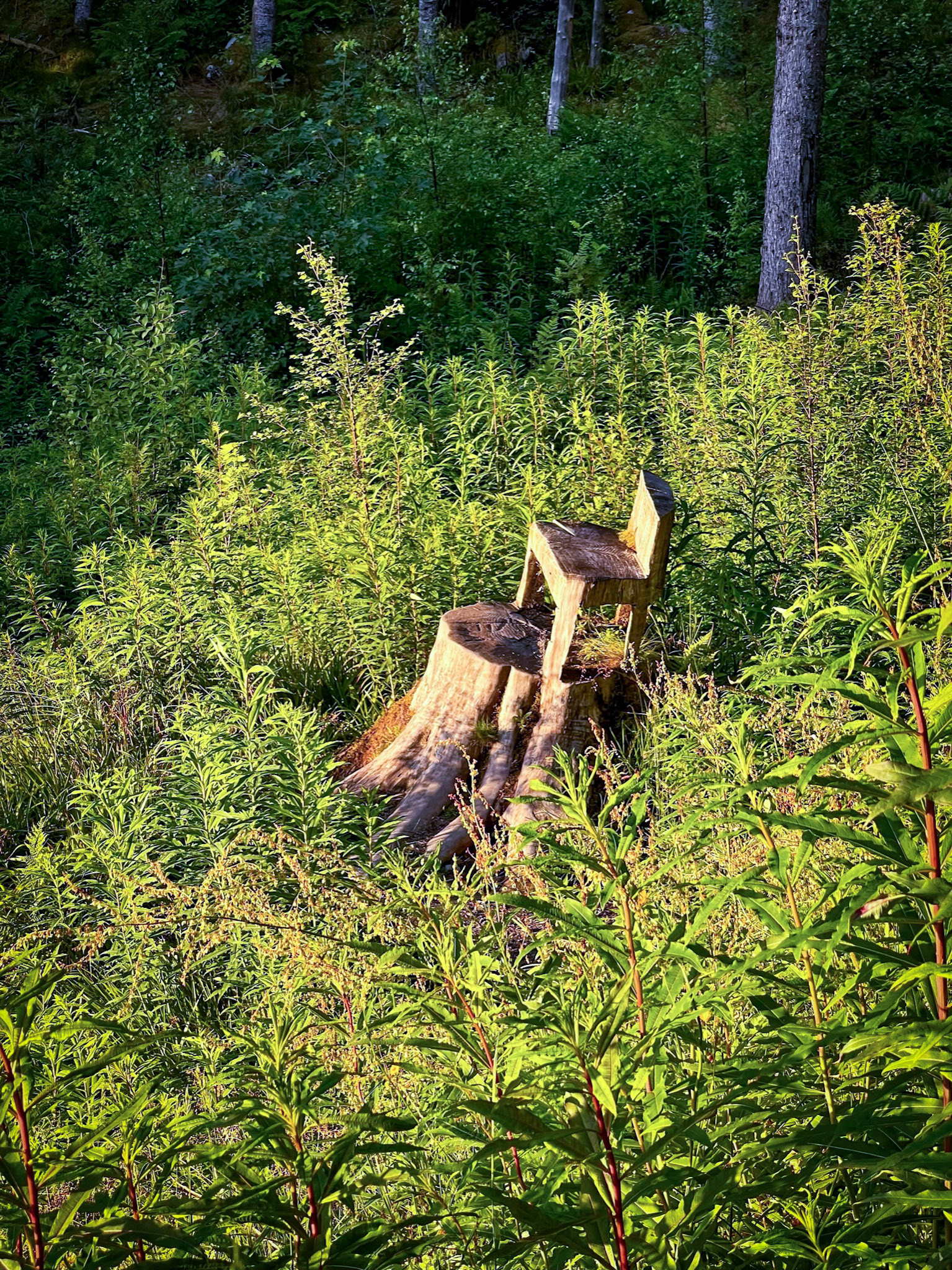 Best seat in the house