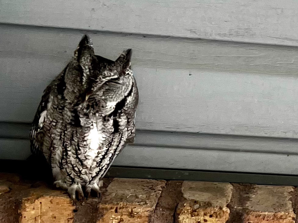 Invitation to Hogwarts