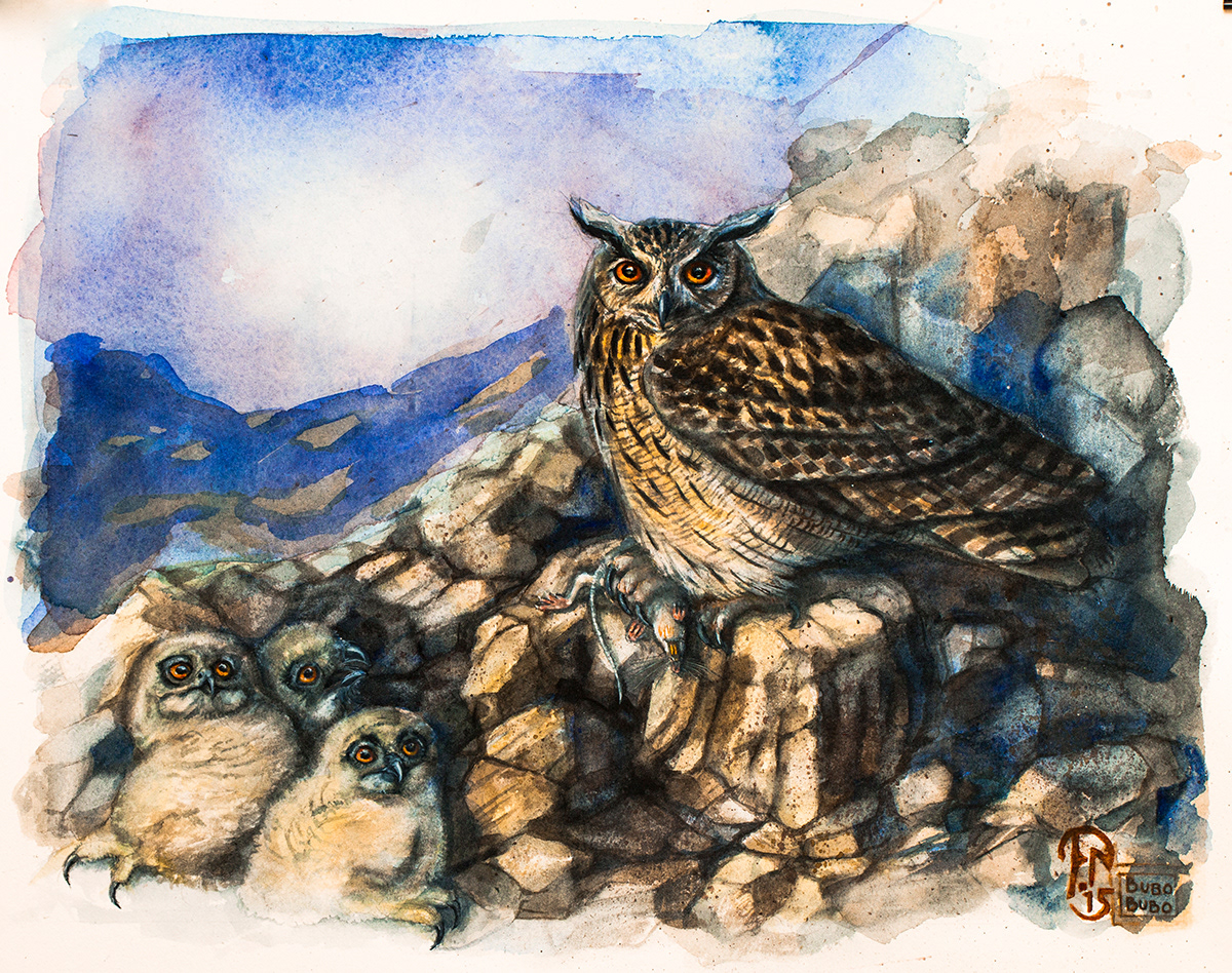 Eurasian eagle owl | Berguv | Bubo bubo