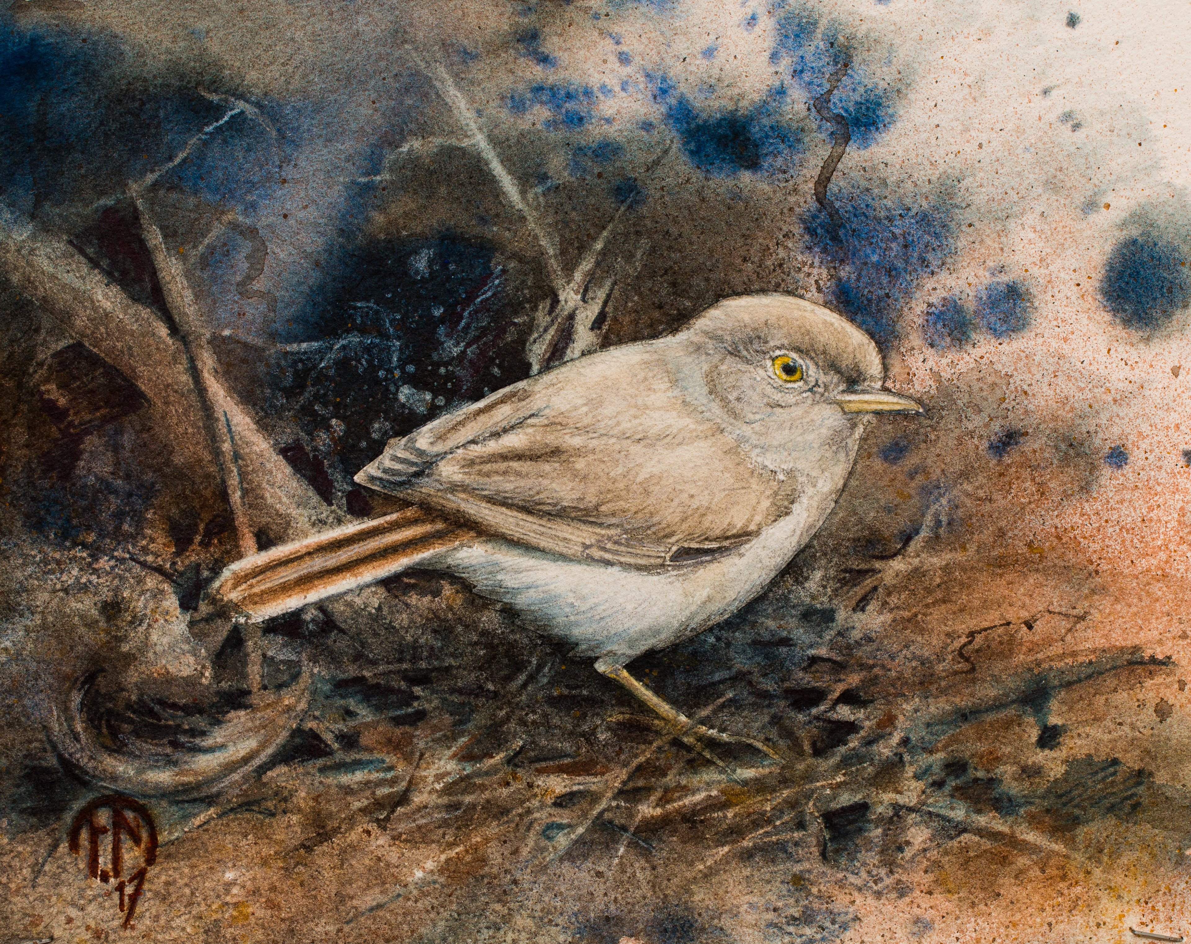 Desert warbler watercolor painting