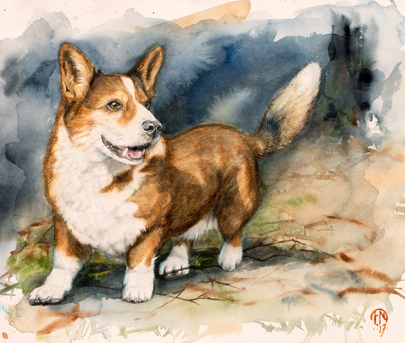 Assar - Welsh corgi