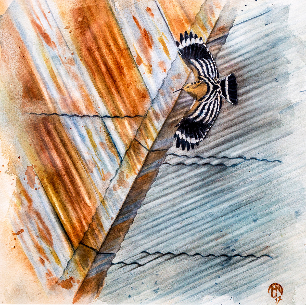Hoopoe | Härfågel | Upupa epops