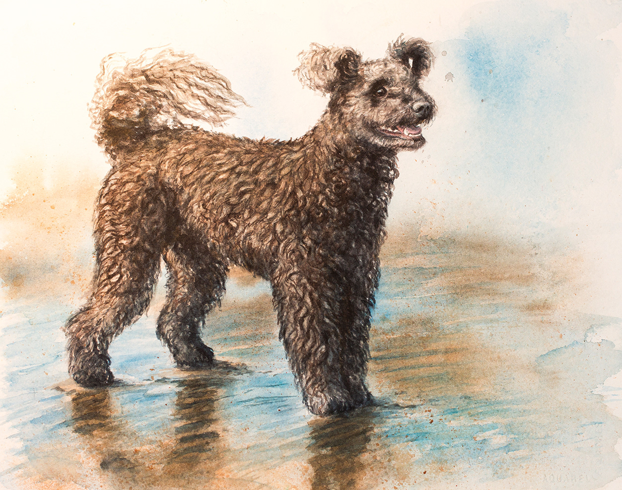 Gerda - Hungarian pumi