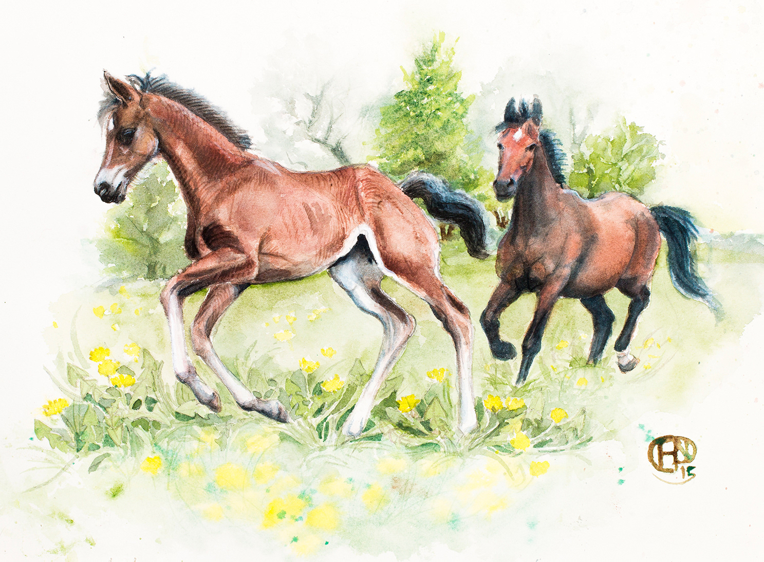 Mare and foal
