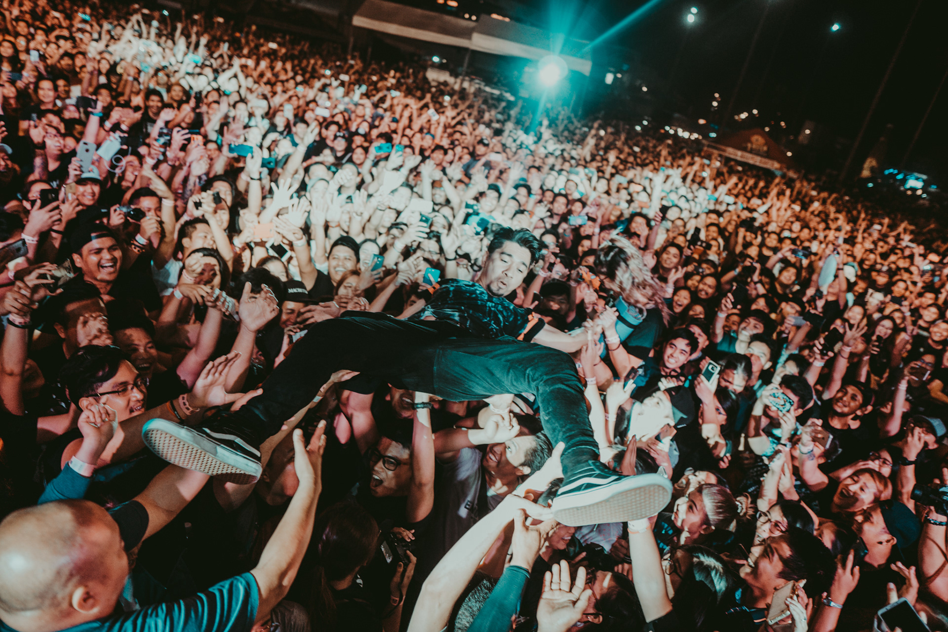 Rocksteddy