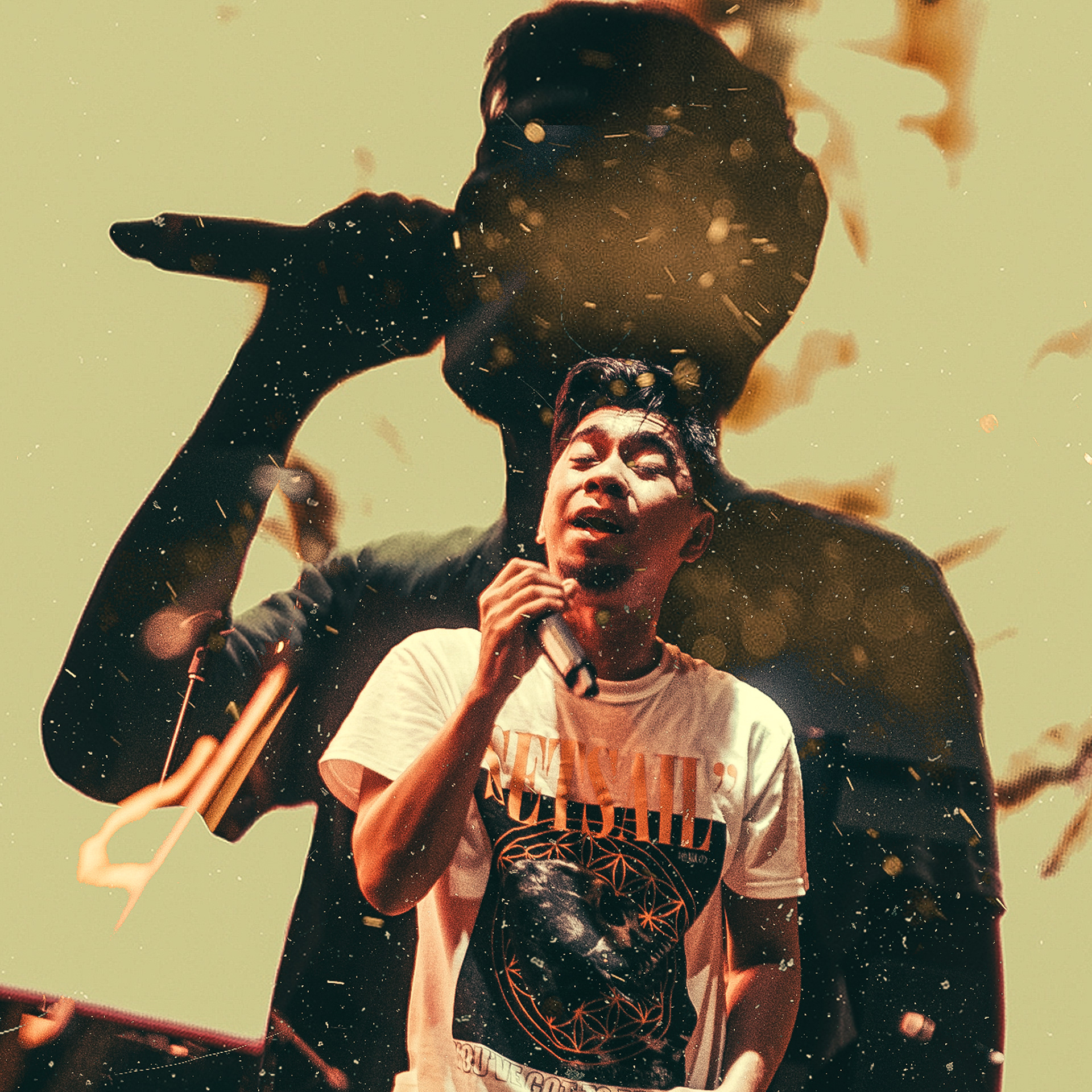Rocksteddy