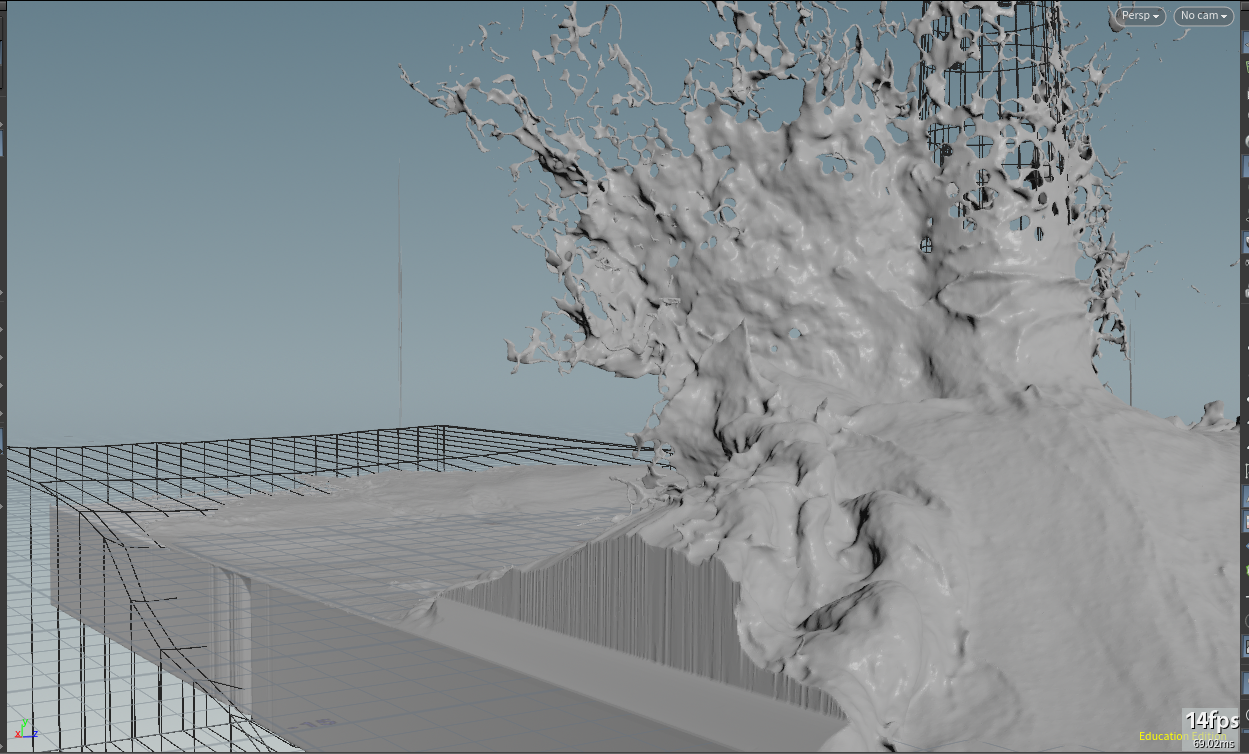 Cached wave sim geometry