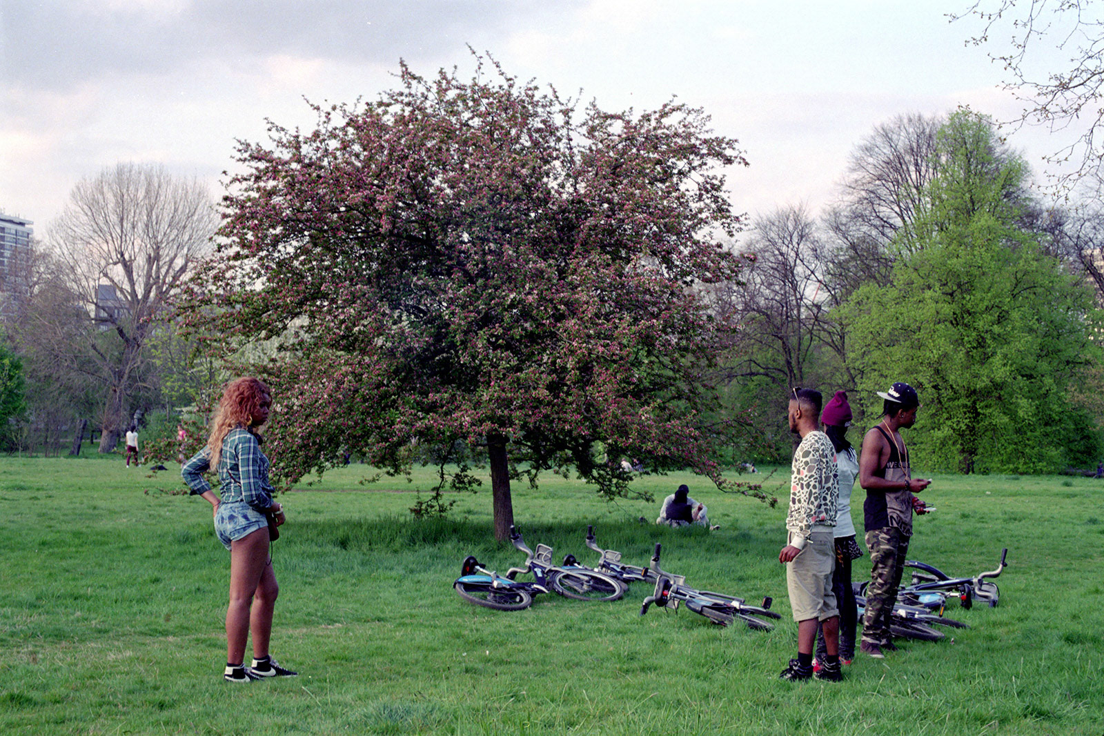 Hyde Park (2013)