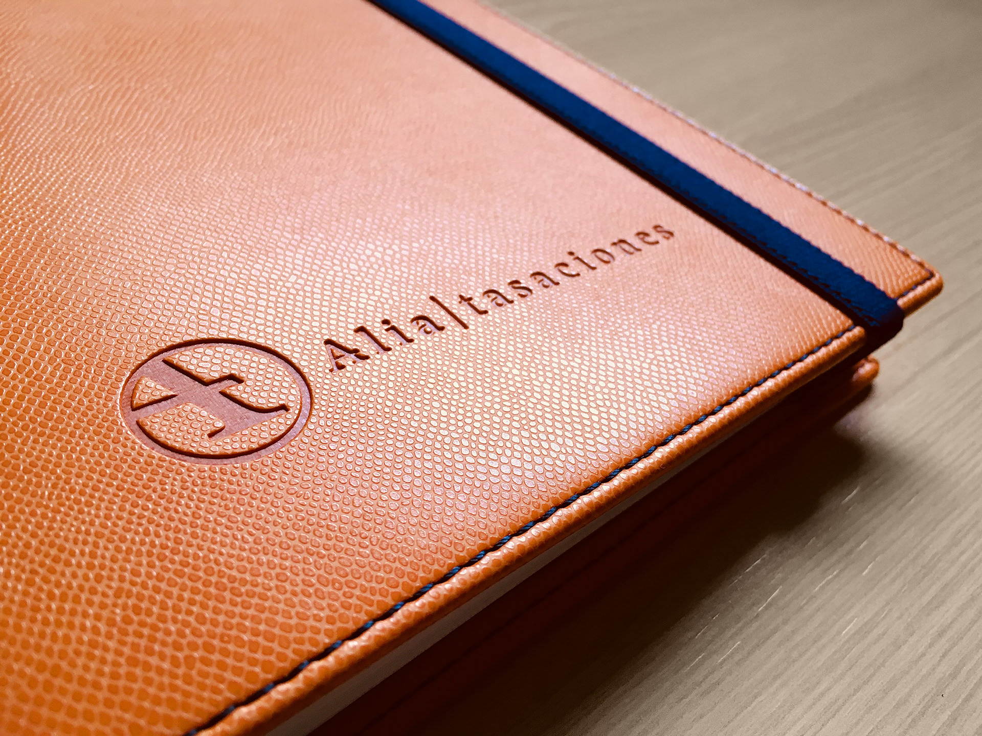 Aplicación logotipo Alia Tasaciones. Global y Punto