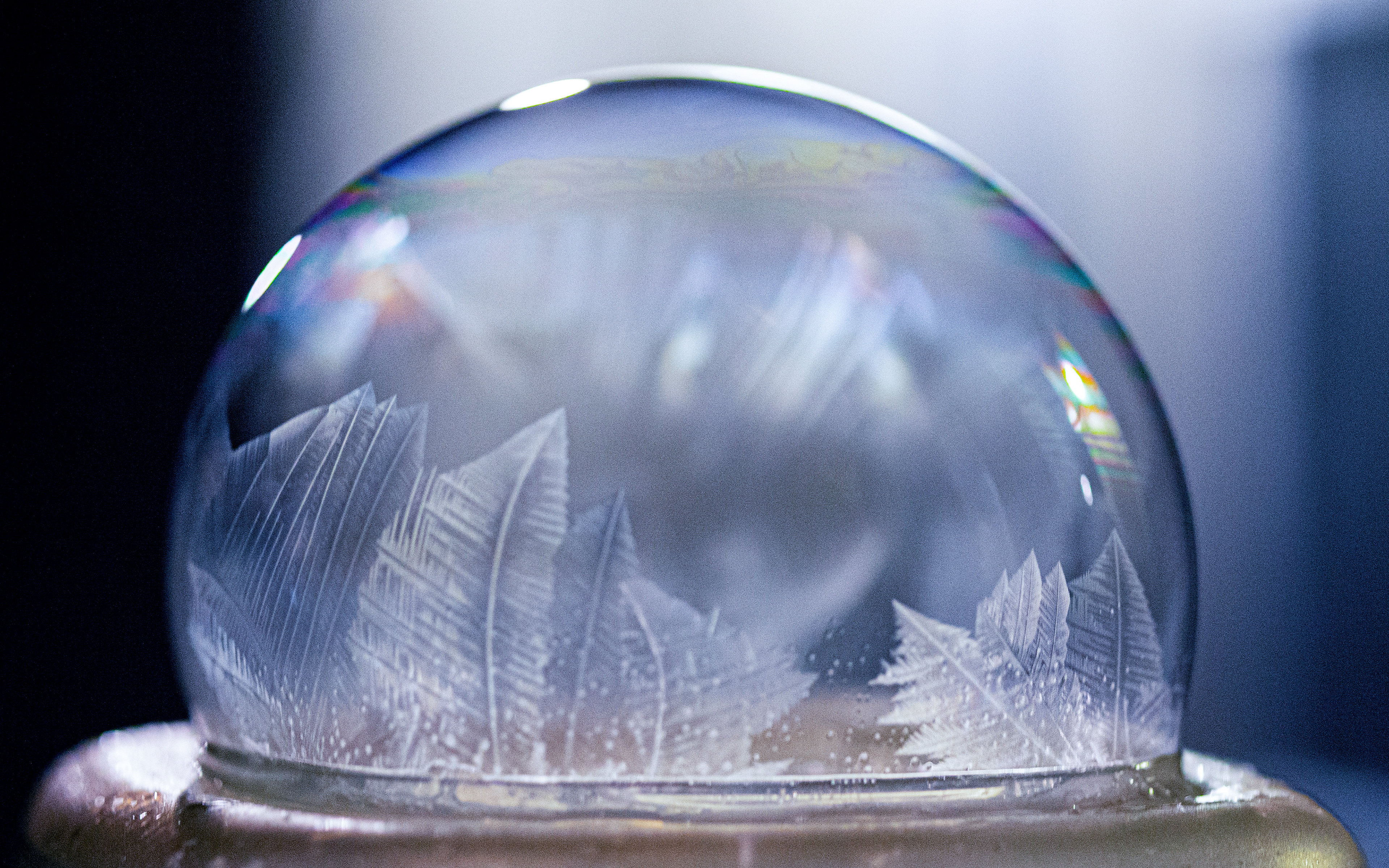 Frozen Soap Bubble