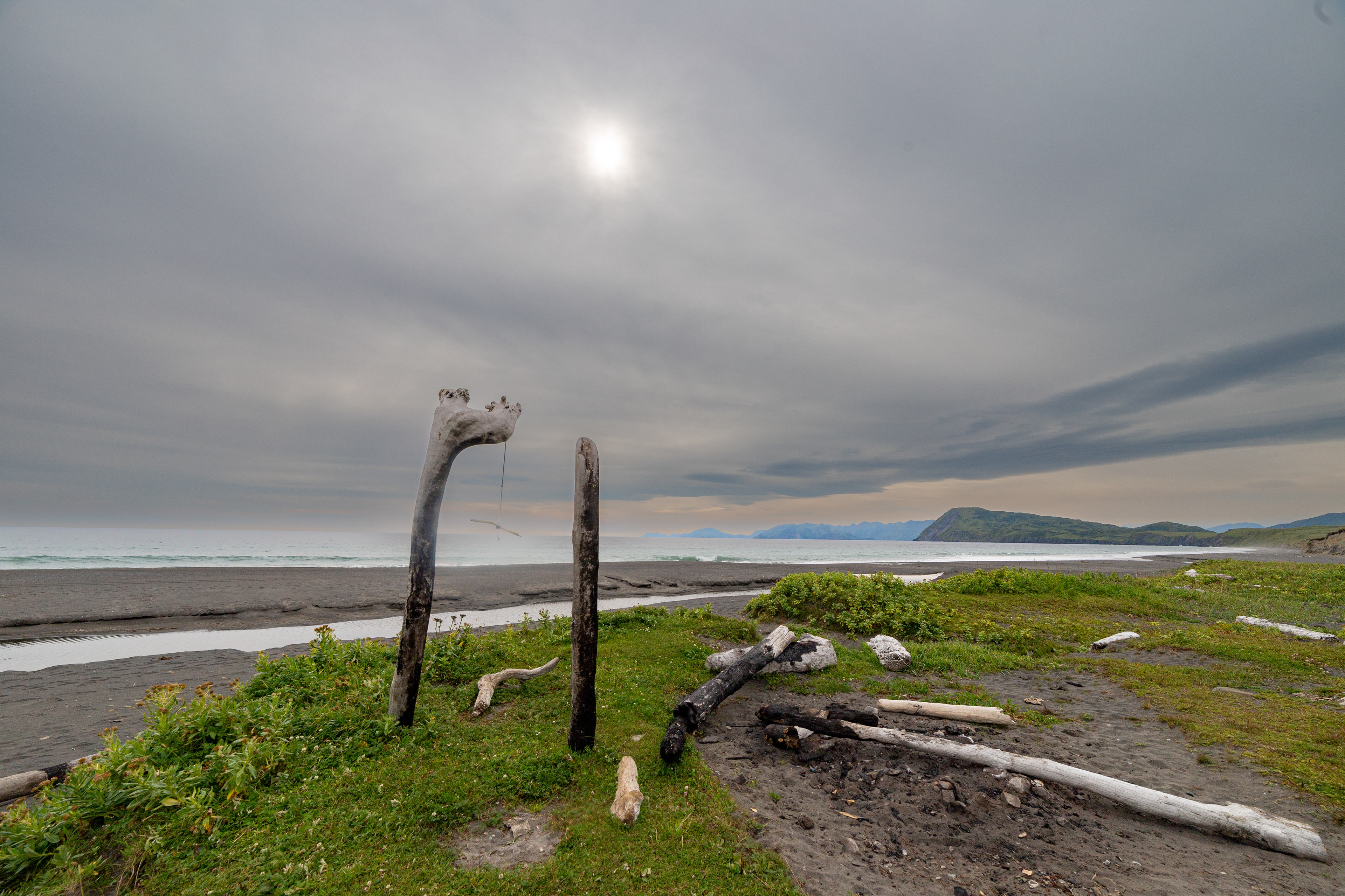 Driftwood Skeletons